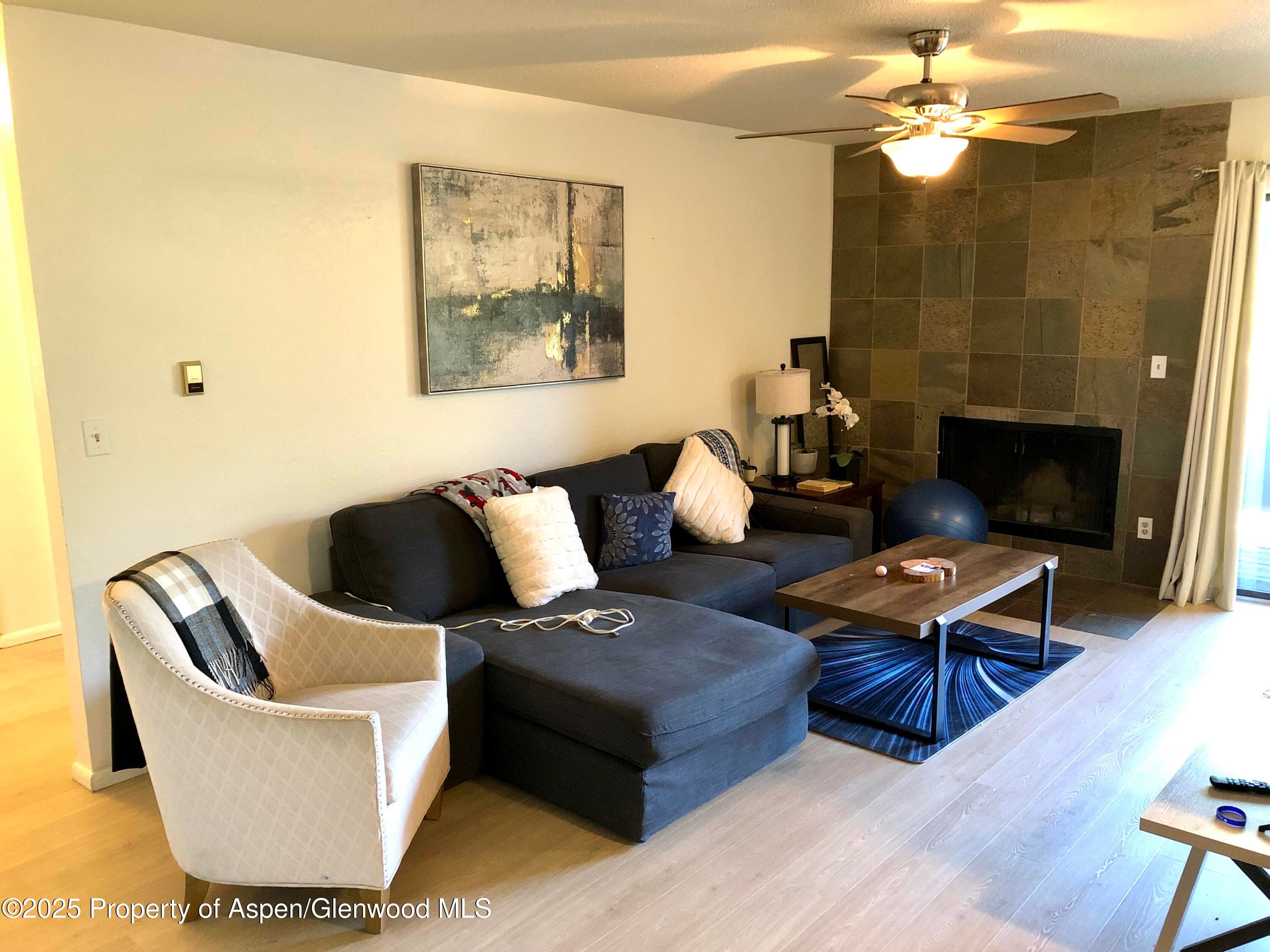 1527 Blake Avenue 201, Glenwood Springs, CO 81601 - Photo 1