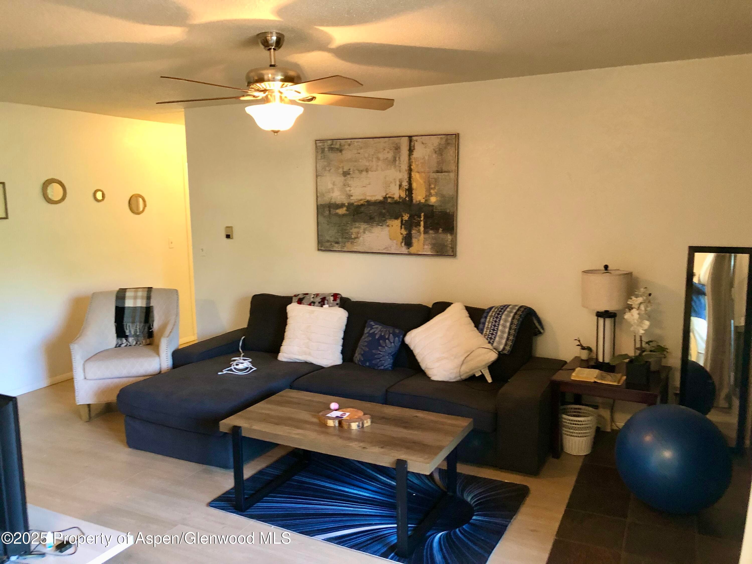1527 Blake Avenue 201, Glenwood Springs, CO 81601 - Photo 3