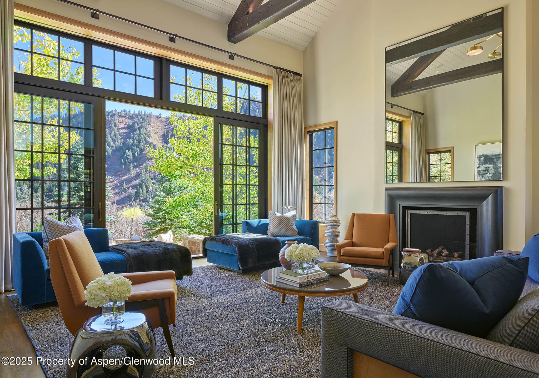 864 Moore Drive, Aspen, CO 81611 - Photo 2