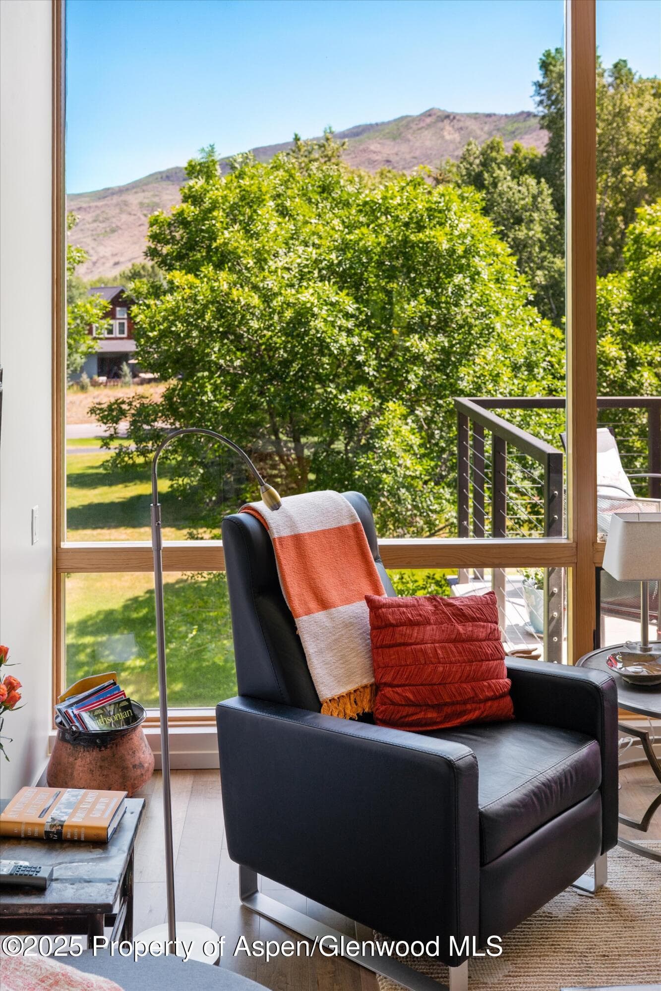 202 Evans Road 202, Basalt, CO 81621 - Photo 9