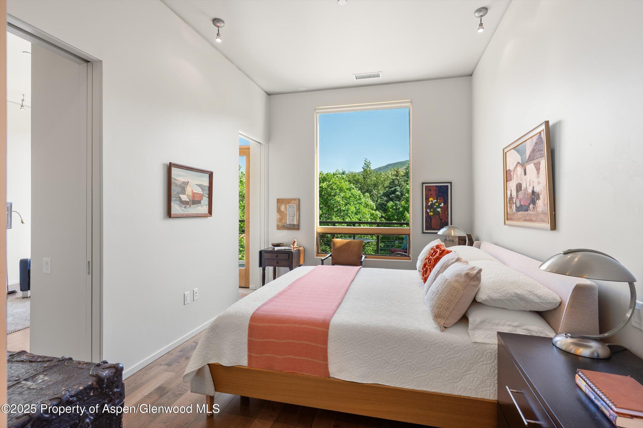 202 Evans Road 202, Basalt, CO 81621 - Photo 12