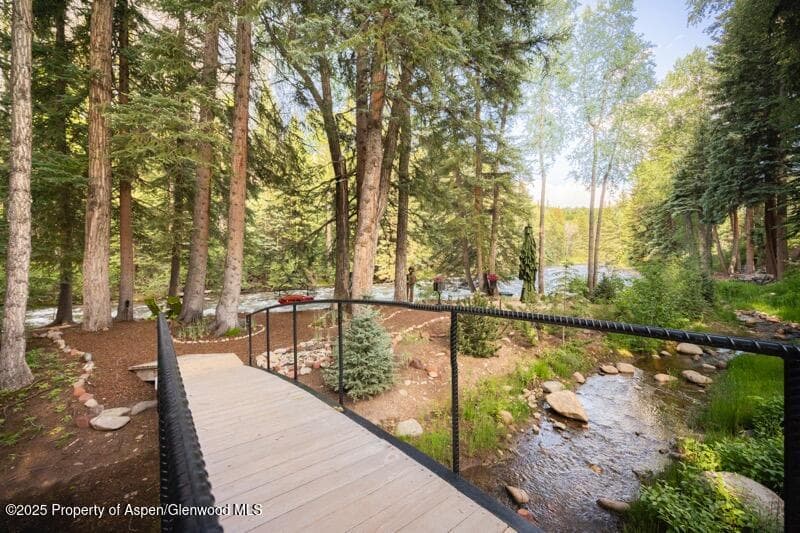 1310 Red Butte Drive, Aspen, CO 81611 - Photo 16