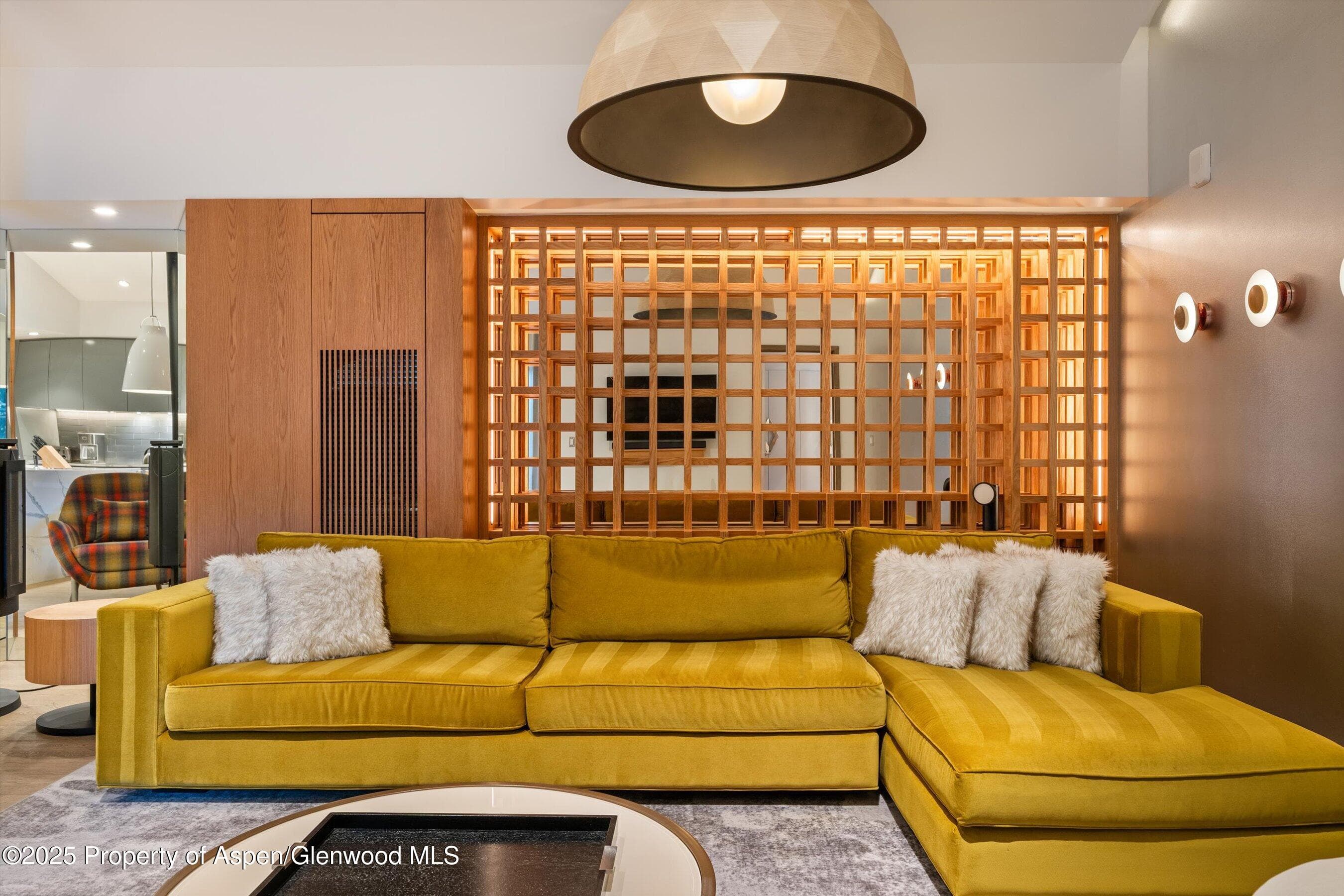 550 S Spring Street F10 1-10, Aspen, CO 81611 - Photo 7