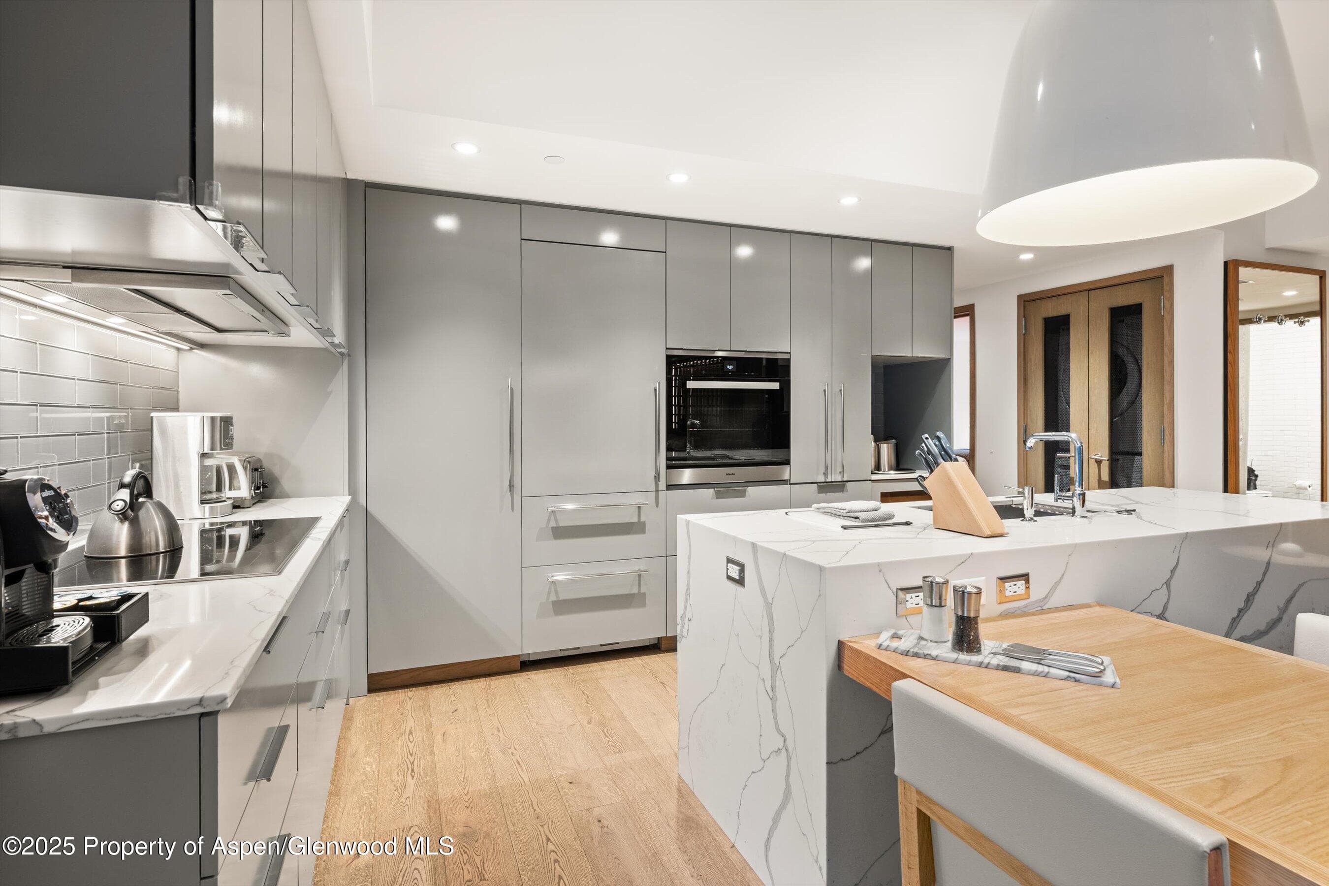 550 S Spring Street F10 1-10, Aspen, CO 81611 - Photo 16