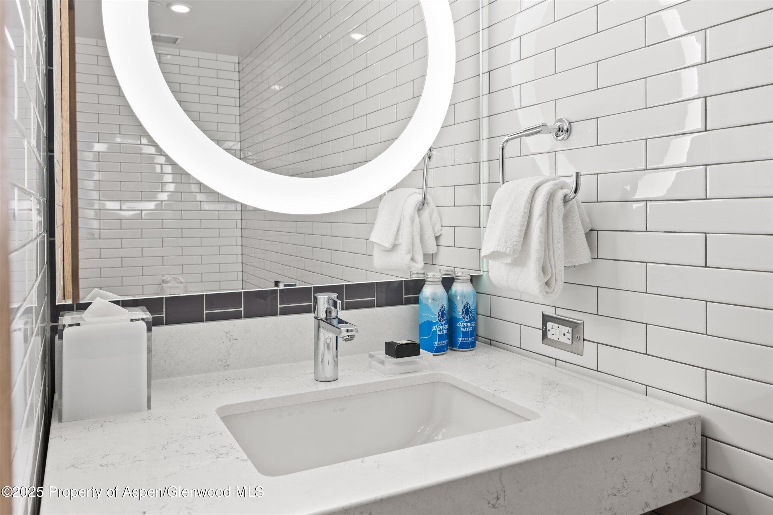550 S Spring Street F10 1-10, Aspen, CO 81611 - Photo 20