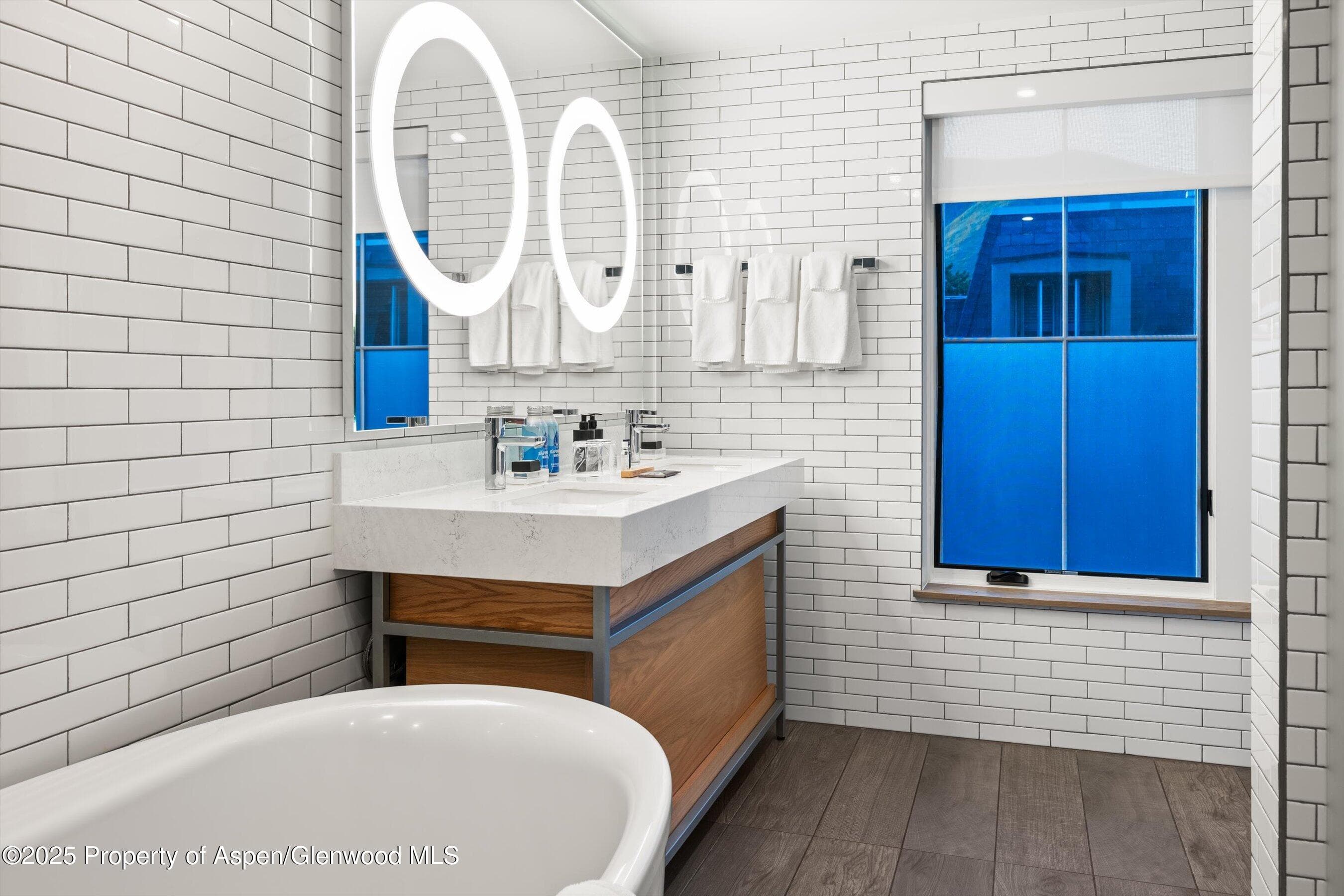 550 S Spring Street F10 1-10, Aspen, CO 81611 - Photo 29