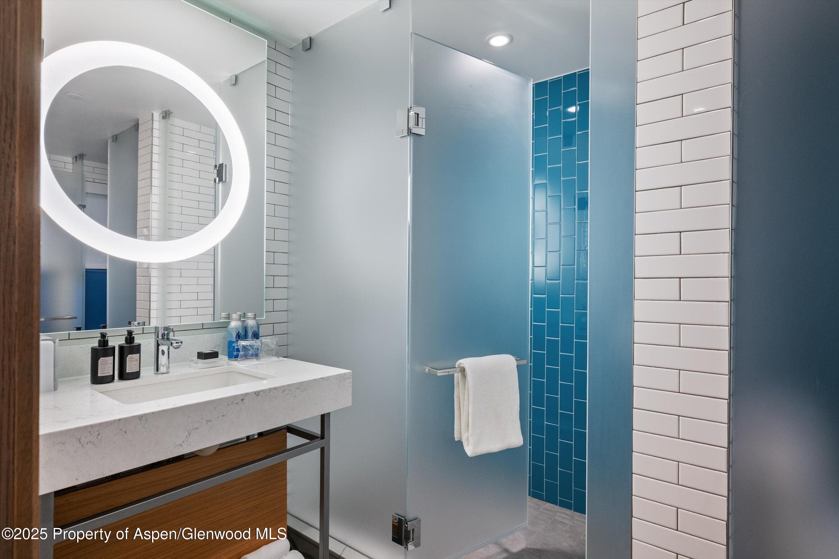 550 S Spring Street F10 1-10, Aspen, CO 81611 - Photo 38