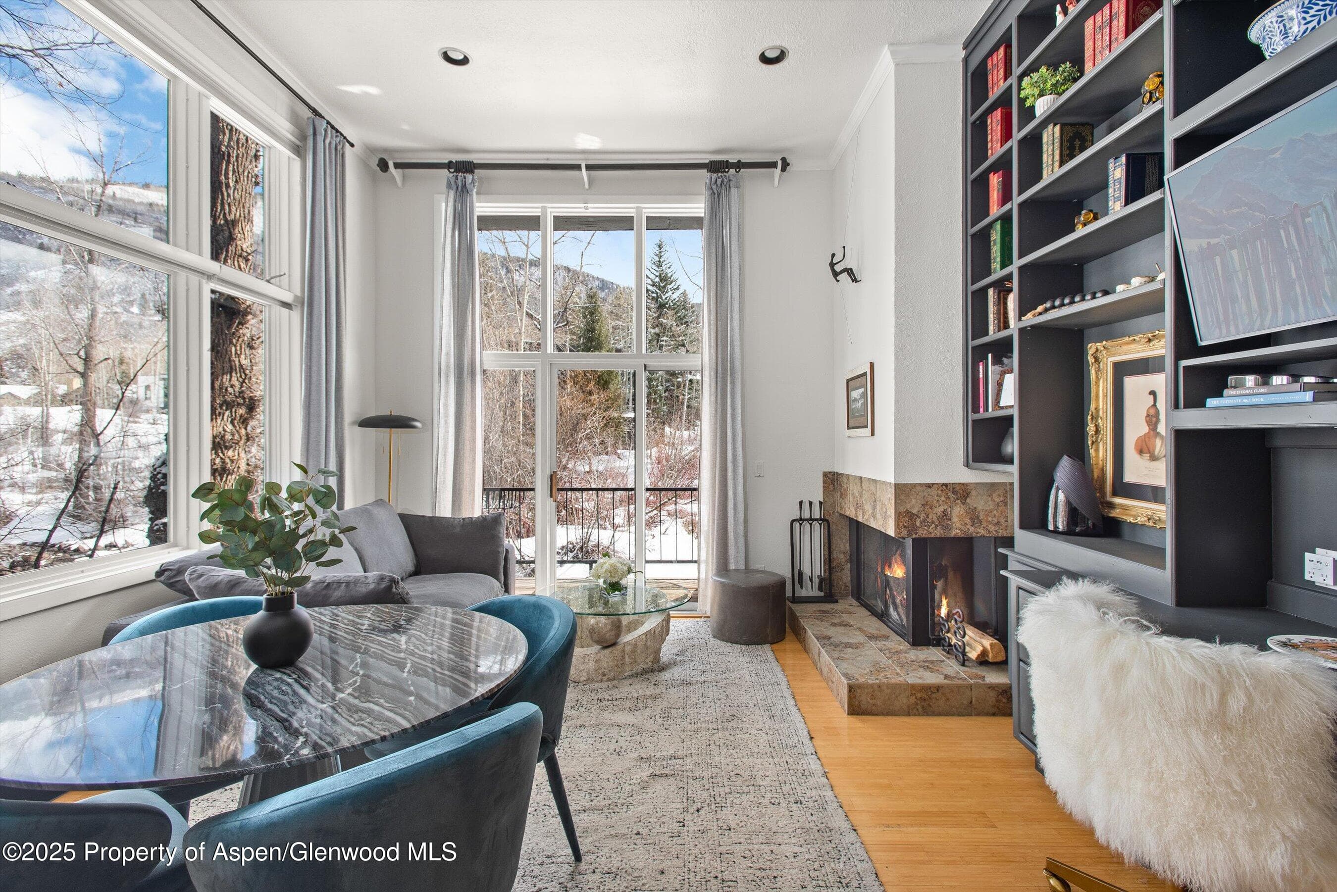 1050 Waters Avenue 9, Aspen, CO 81611 - Photo 1
