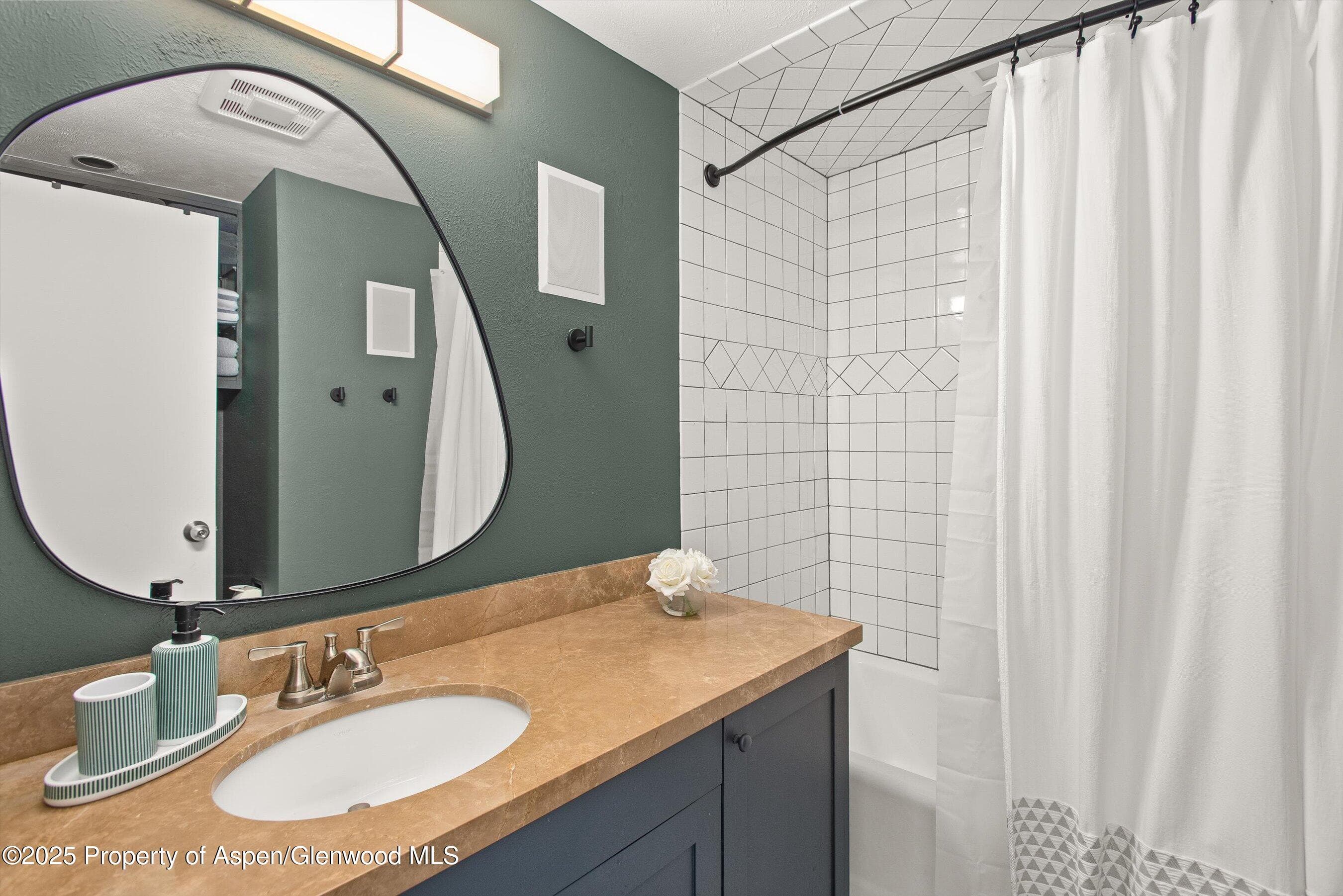 1050 Waters Avenue 9, Aspen, CO 81611 - Photo 9