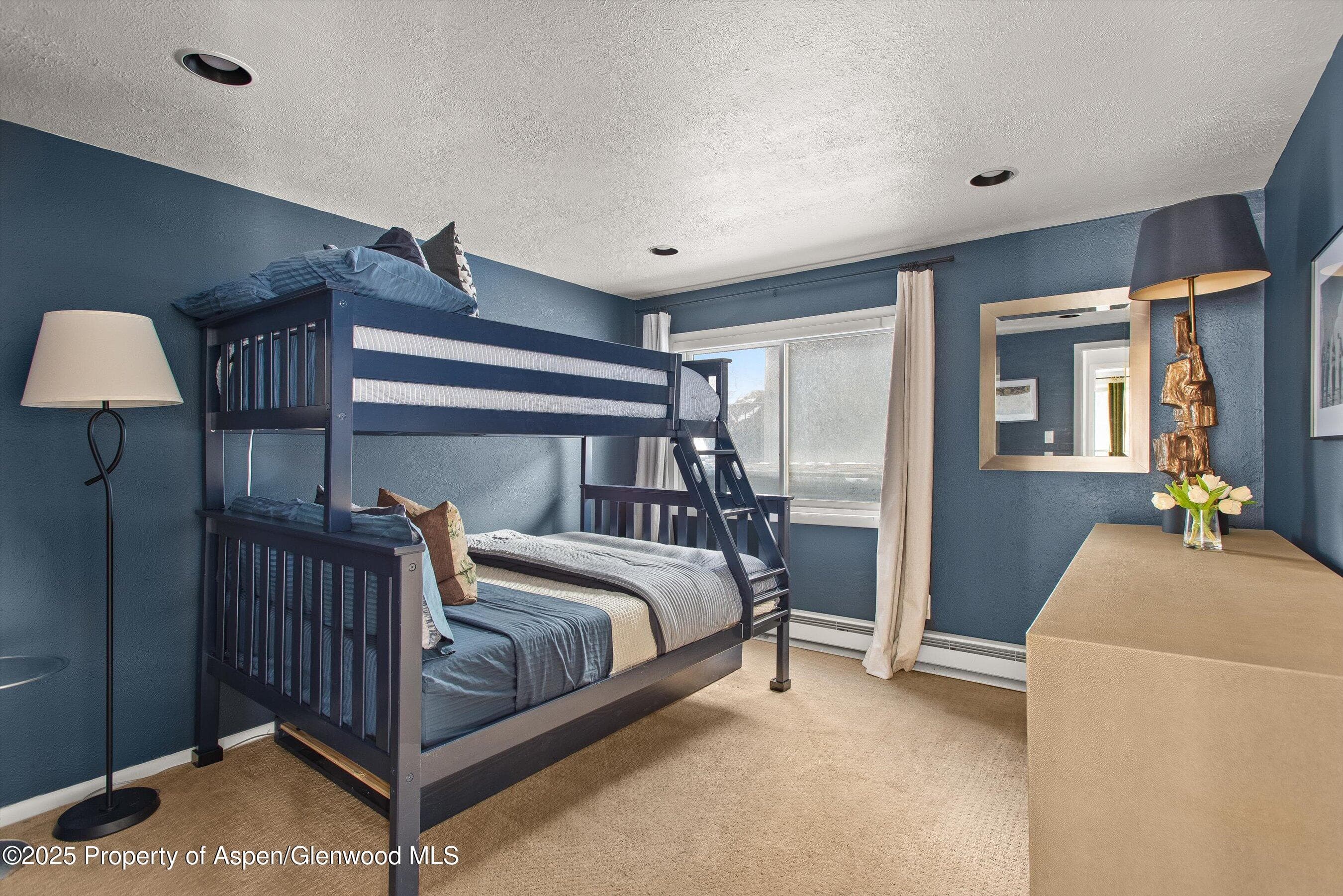 1050 Waters Avenue 9, Aspen, CO 81611 - Photo 10