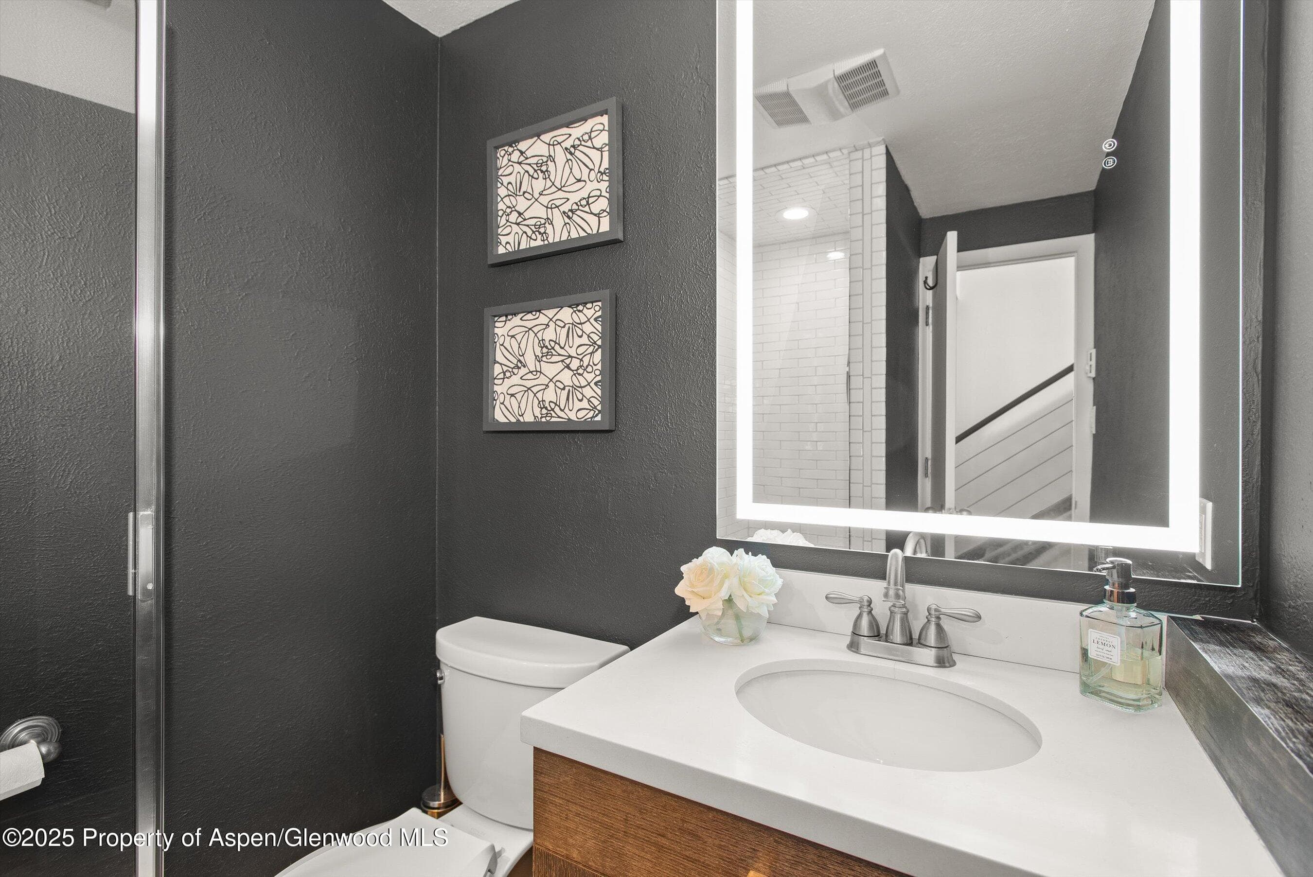 1050 Waters Avenue 9, Aspen, CO 81611 - Photo 11