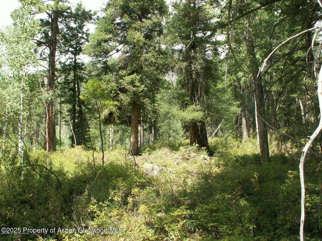 TBD W Village Drive Lot A-1, Marble, CO 81623 - Photo 5