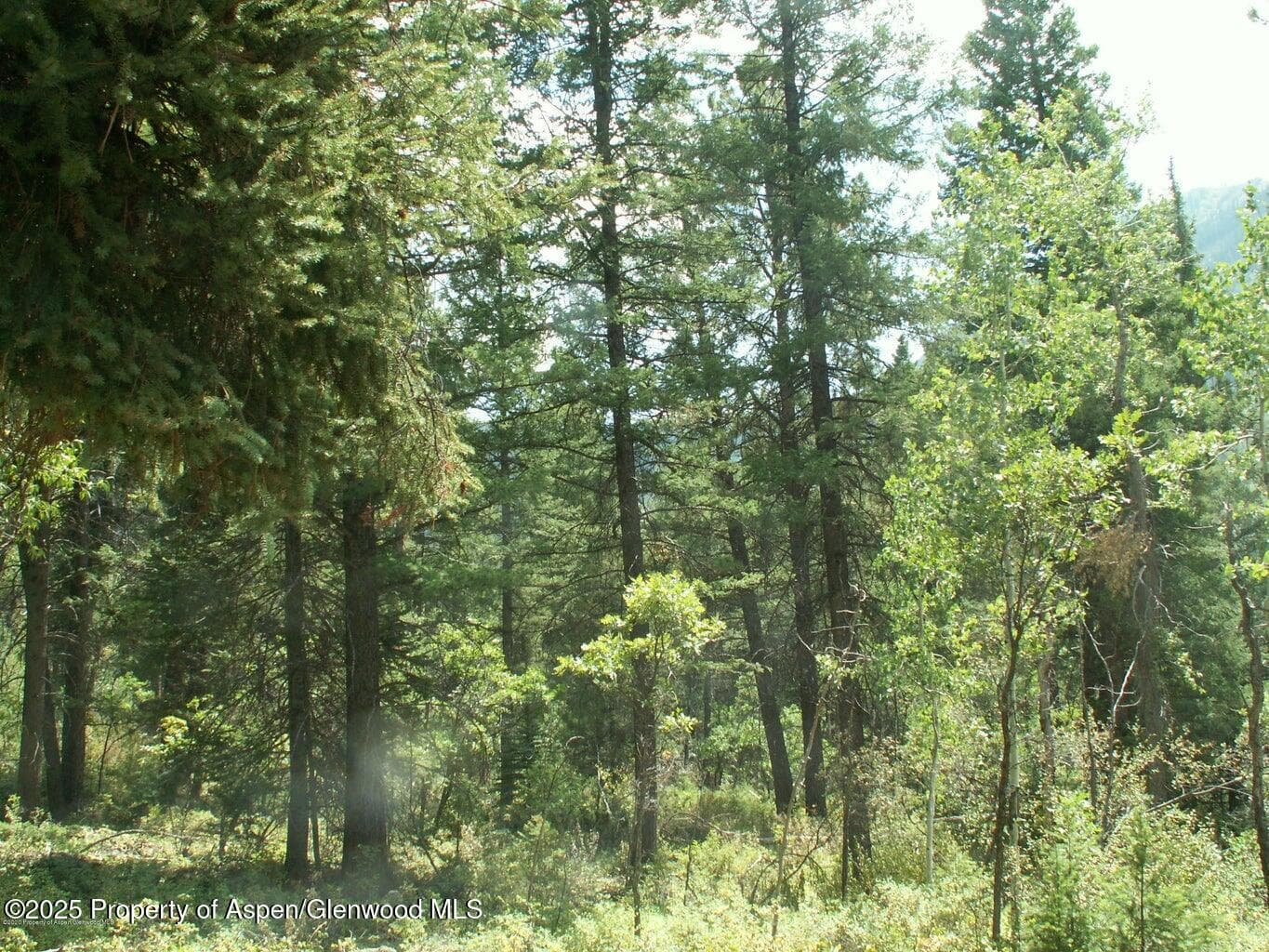 TBD W Village Drive Lot A-1, Marble, CO 81623 - Photo 7