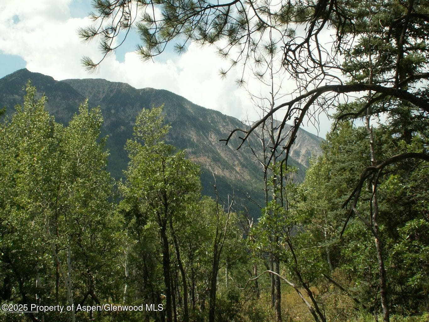TBD W Village Drive Lot A-1, Marble, CO 81623 - Photo 17
