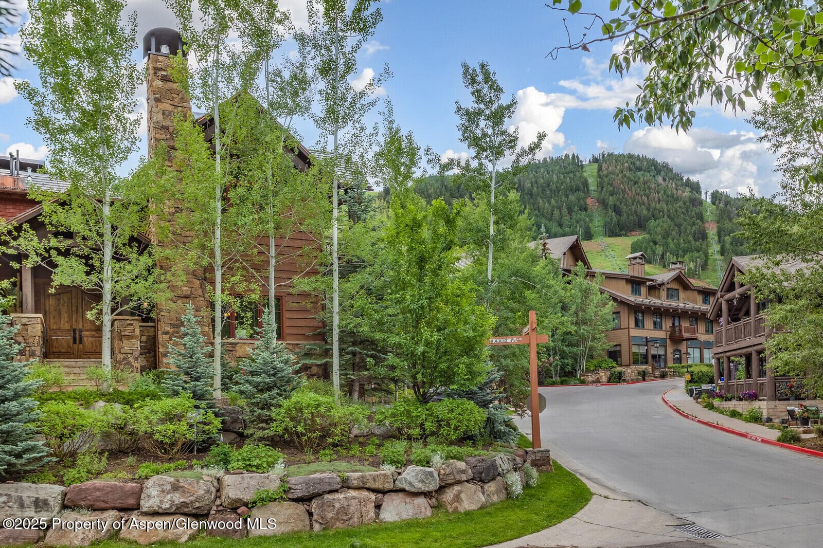 51 Thunderbowl Lane #12, Aspen, CO 81611 - Photo 57