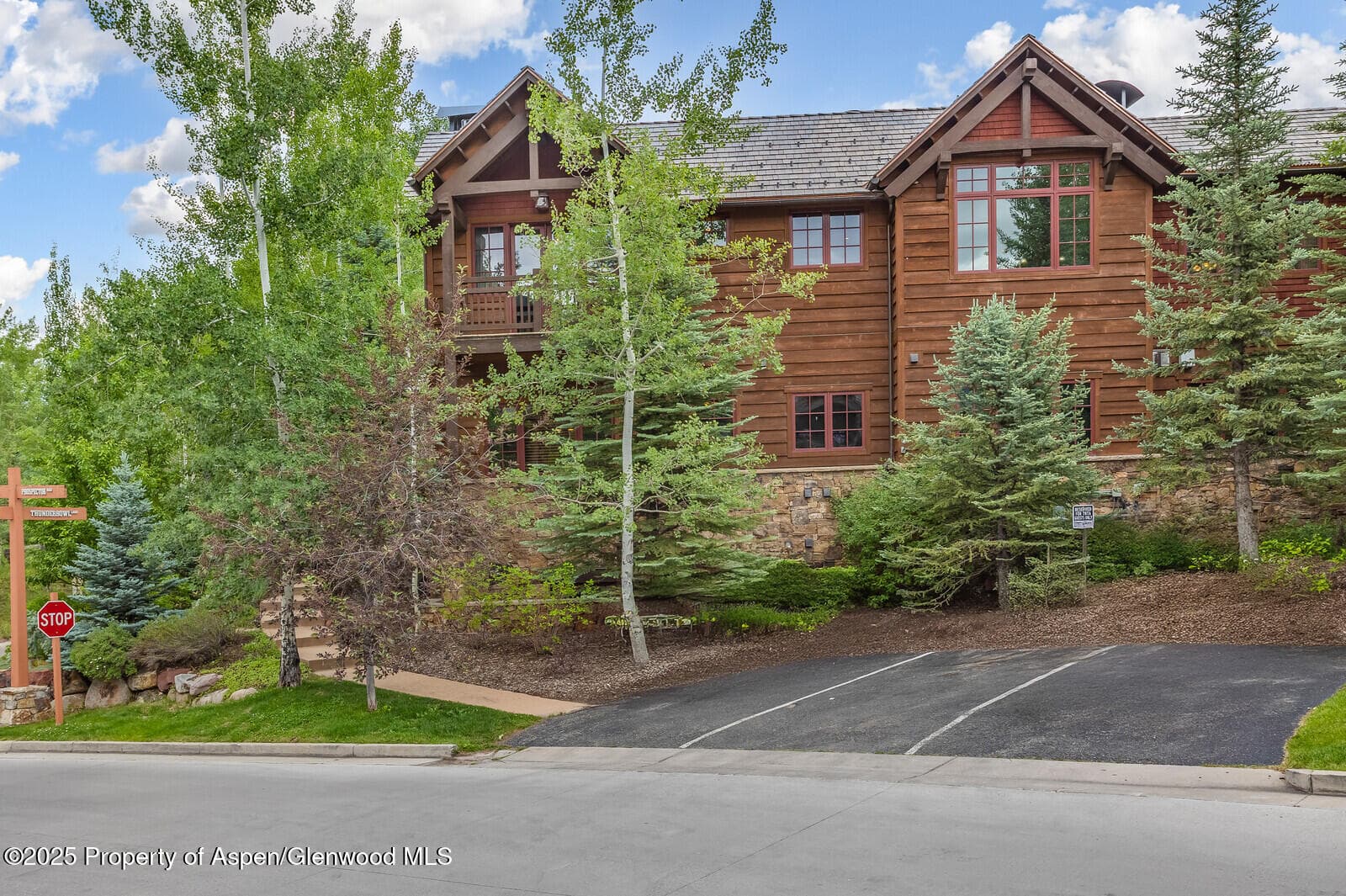 51 Thunderbowl Lane #12, Aspen, CO 81611 - Photo 58
