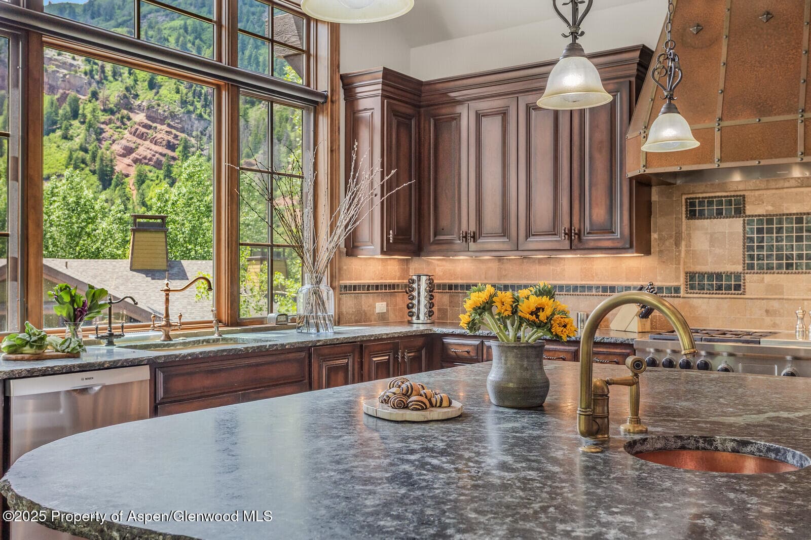 51 Thunderbowl Lane #12, Aspen, CO 81611 - Photo 9