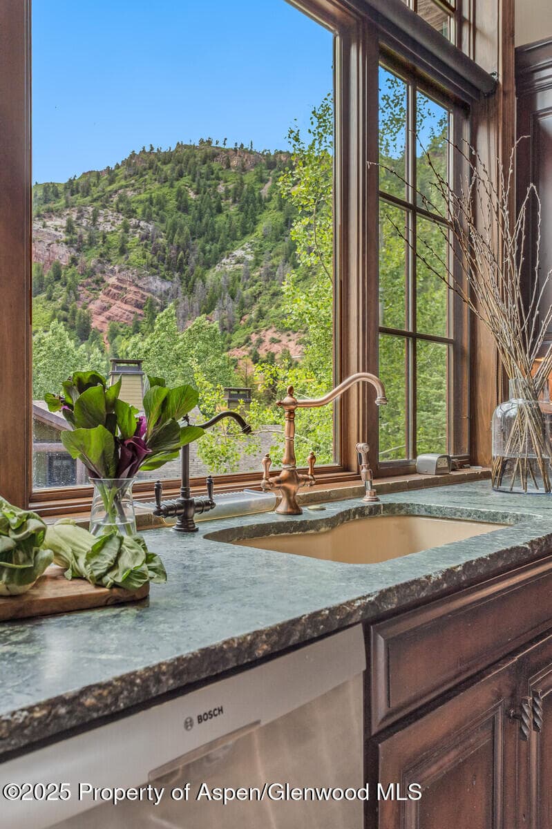 51 Thunderbowl Lane #12, Aspen, CO 81611 - Photo 11