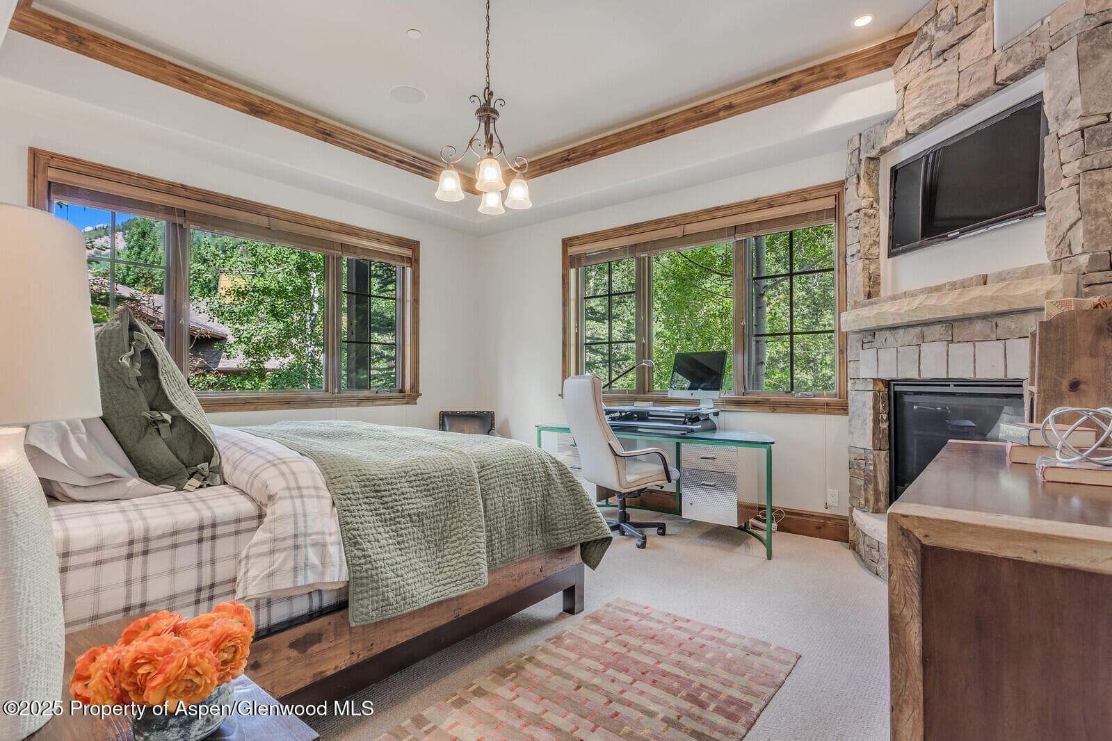 51 Thunderbowl Lane #12, Aspen, CO 81611 - Photo 23