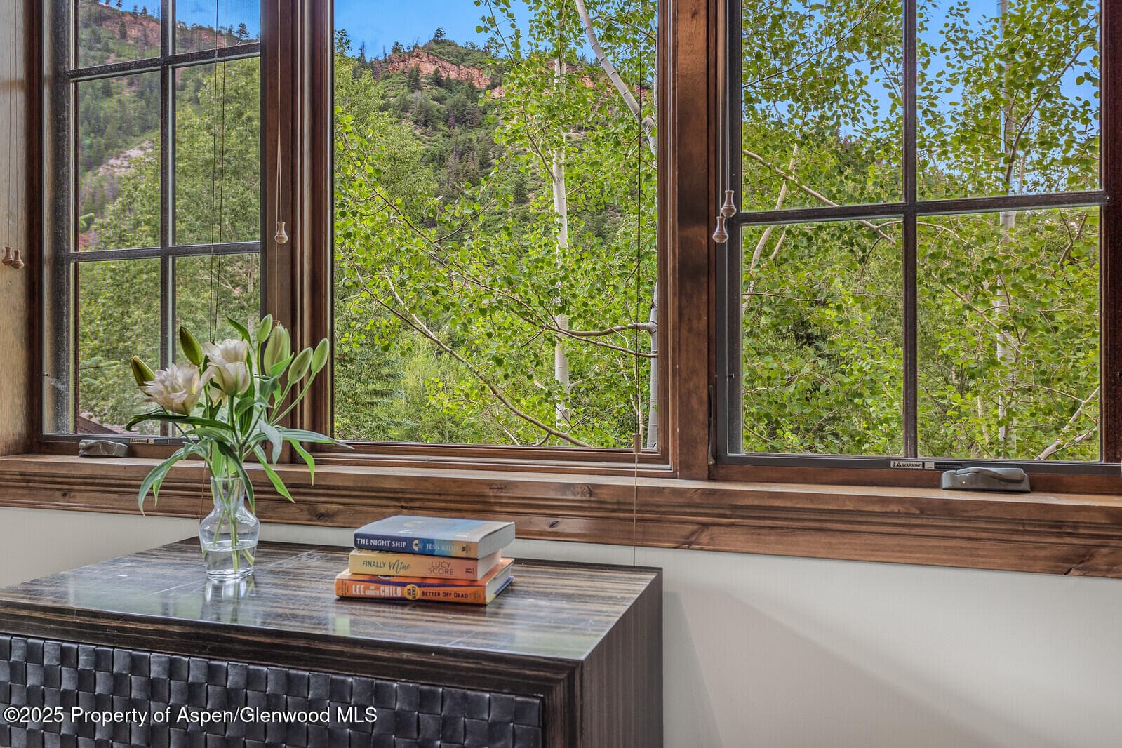 51 Thunderbowl Lane #12, Aspen, CO 81611 - Photo 21