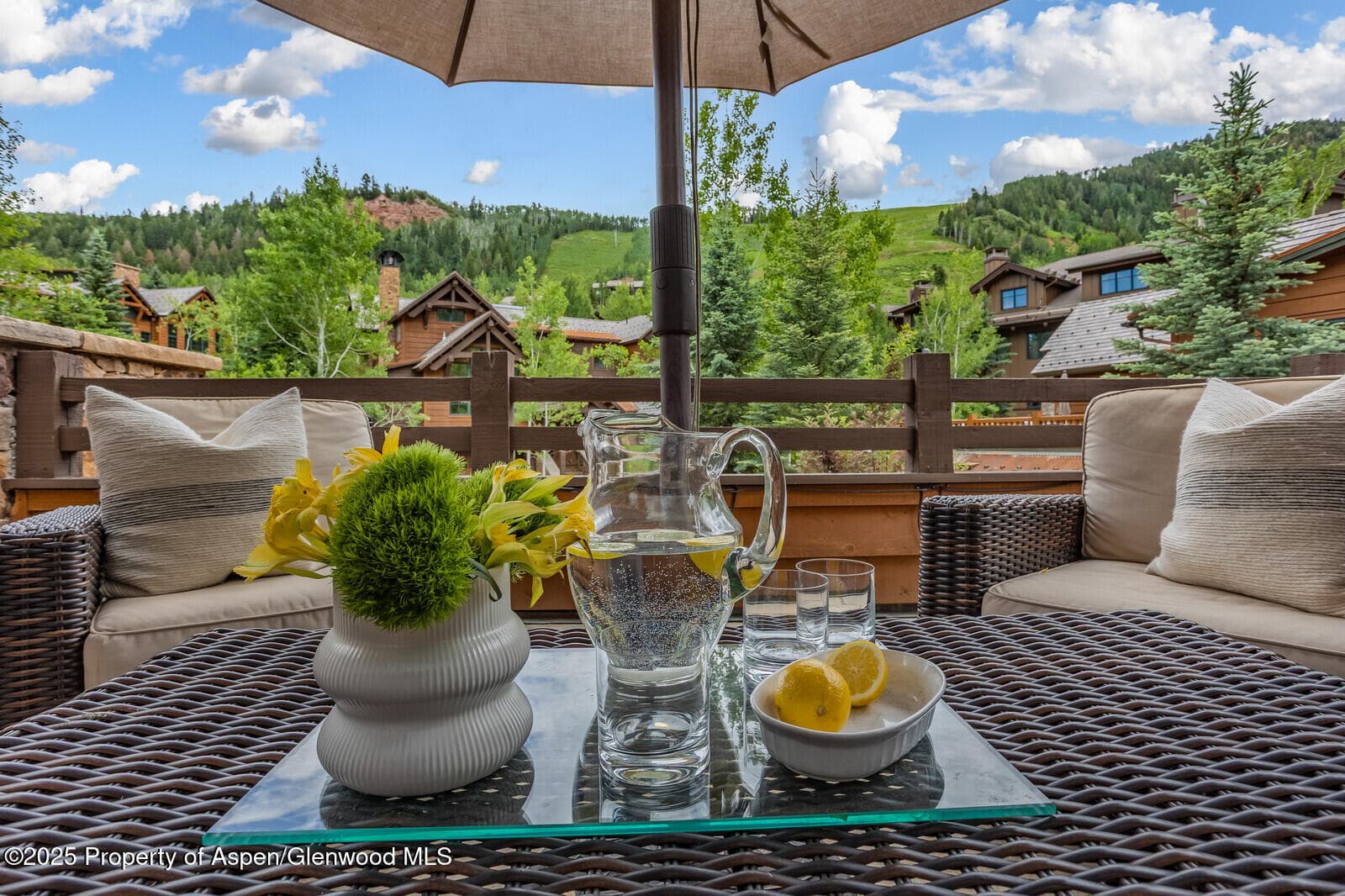 51 Thunderbowl Lane #12, Aspen, CO 81611 - Photo 13