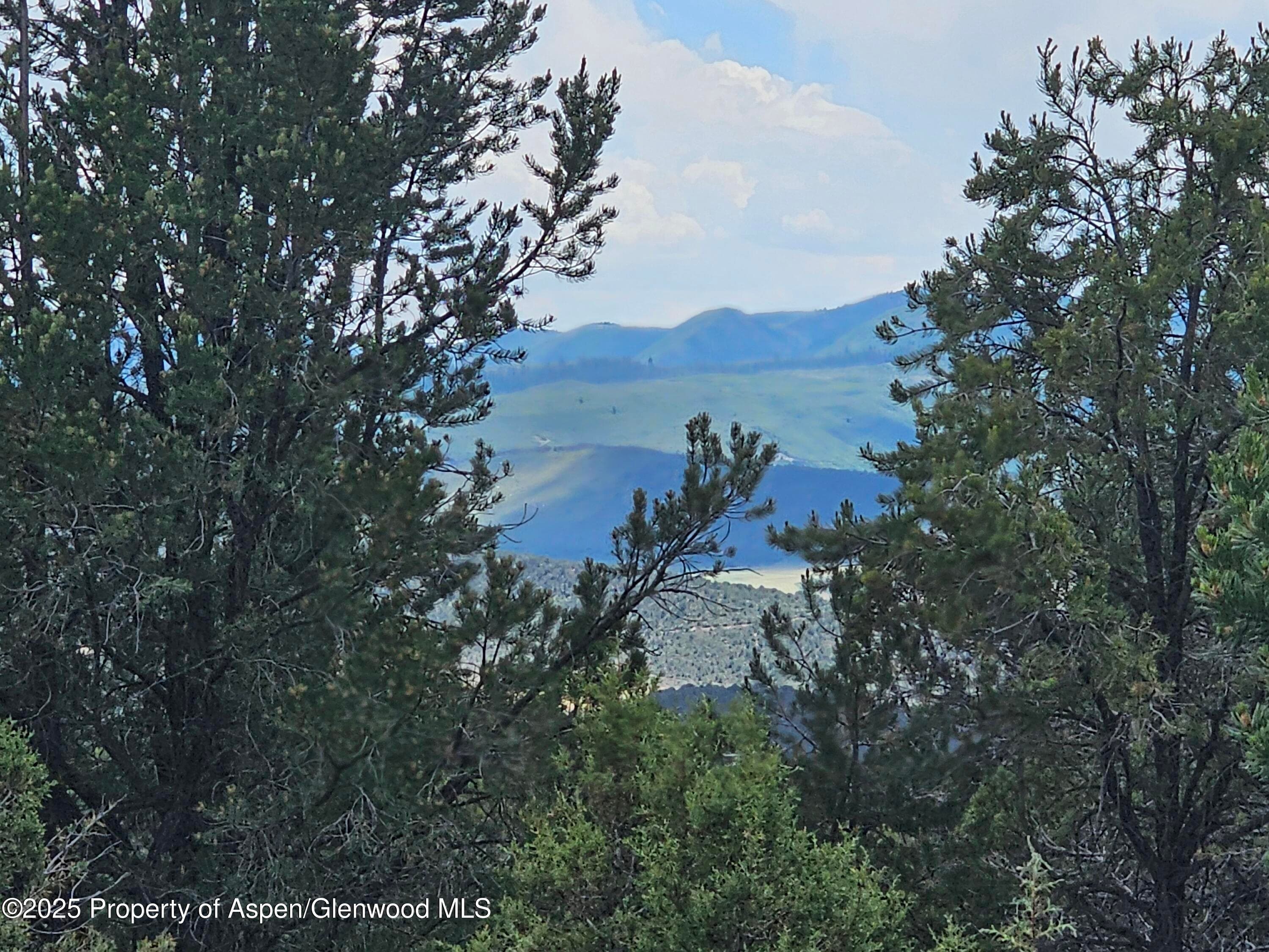 3221 Elk Springs Drive, Glenwood Springs, CO 81601 - Photo 6
