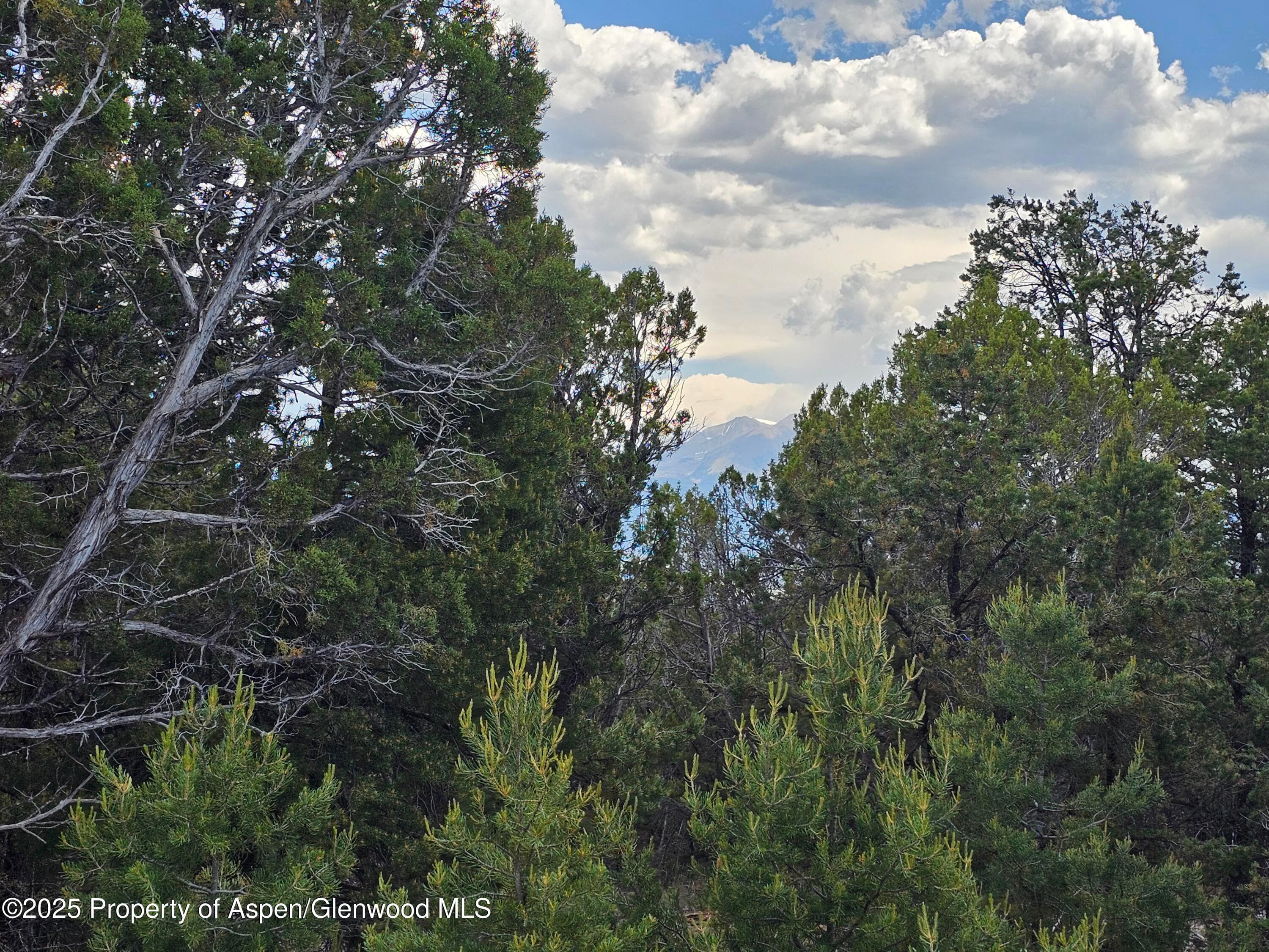 3221 Elk Springs Drive, Glenwood Springs, CO 81601 - Photo 10
