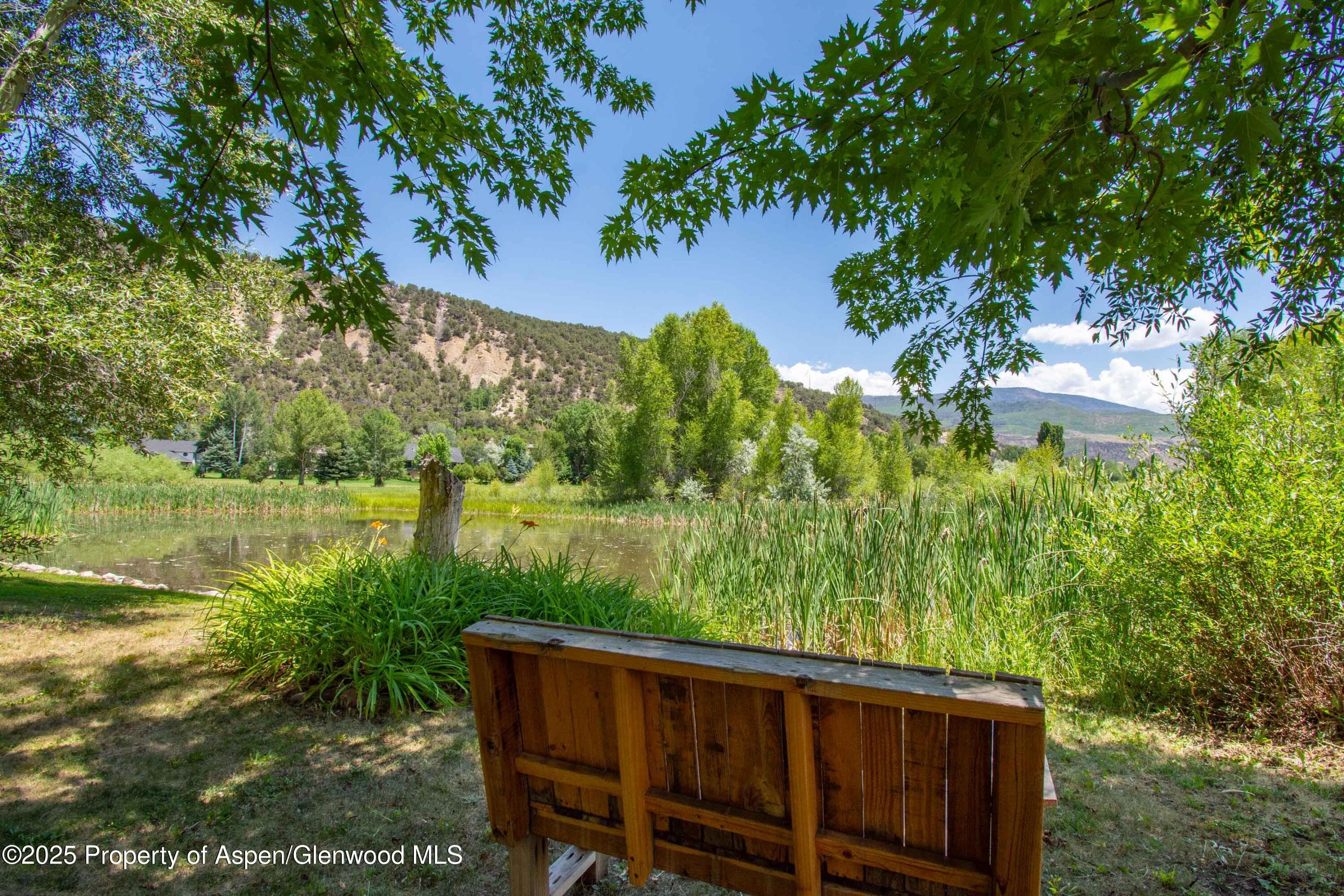 165 Dakota Meadows Drive, Carbondale, CO 81623 - Photo 25