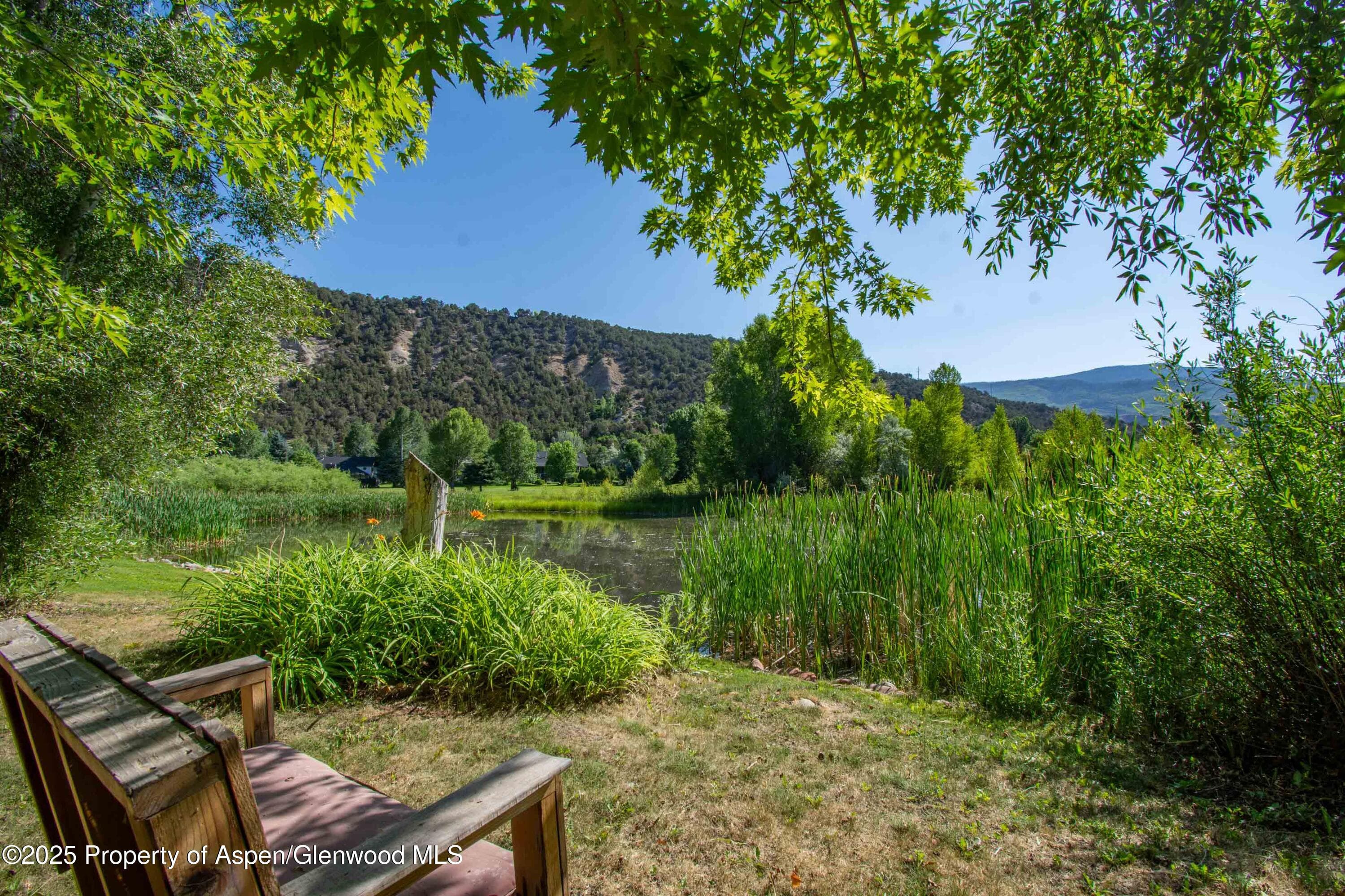 165 Dakota Meadows Drive, Carbondale, CO 81623 - Photo 27