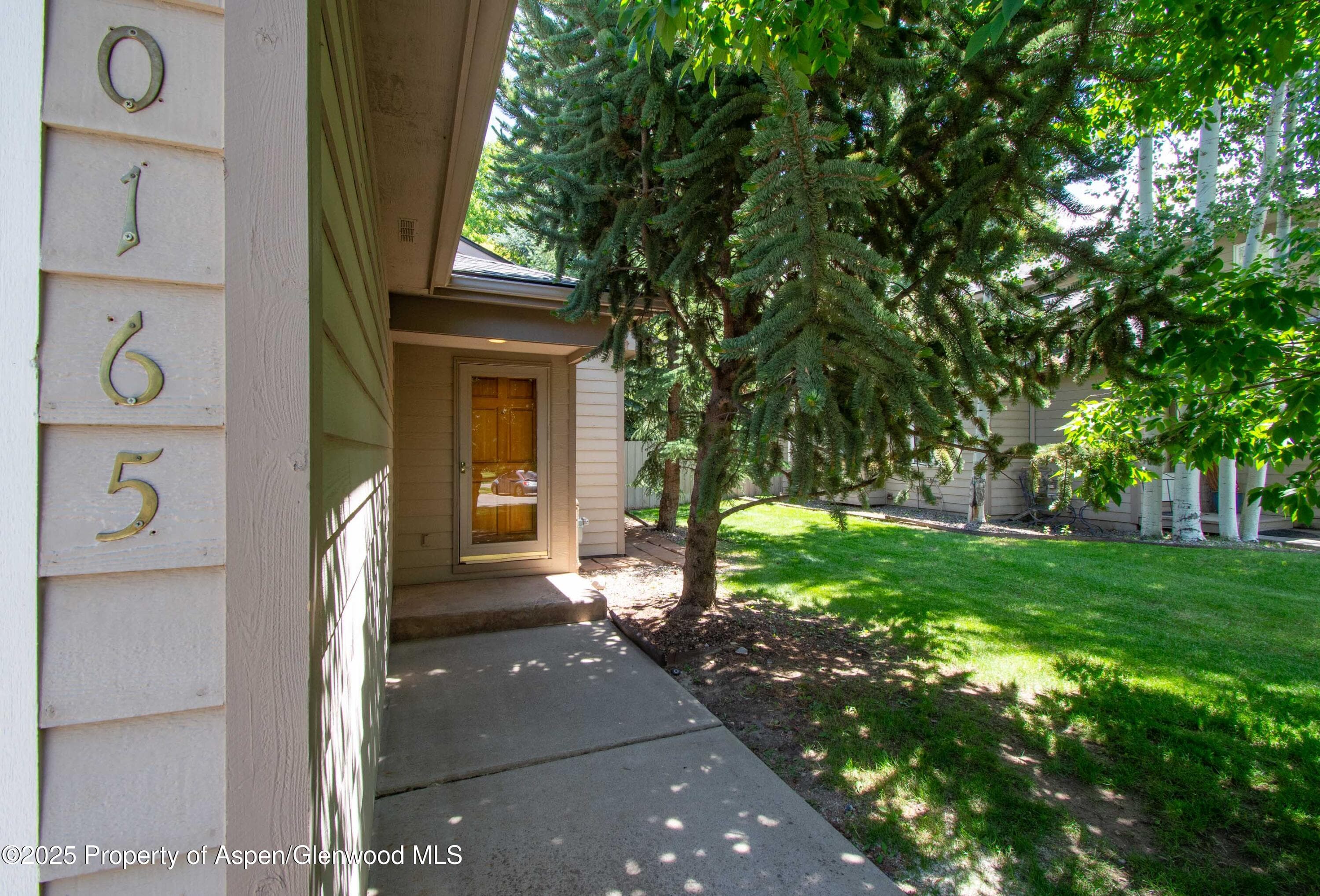165 Dakota Meadows Drive, Carbondale, CO 81623 - Photo 3