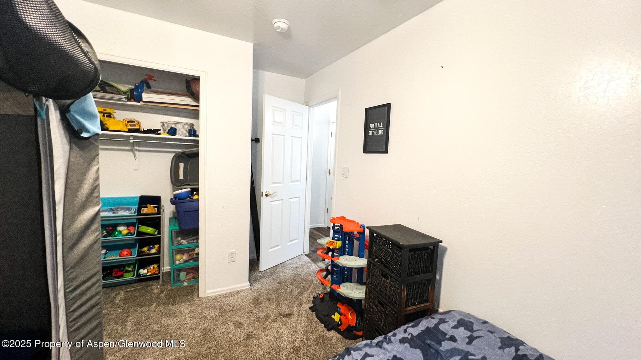 786 Comstock Drive, Fruita, CO 81521 - Photo 27