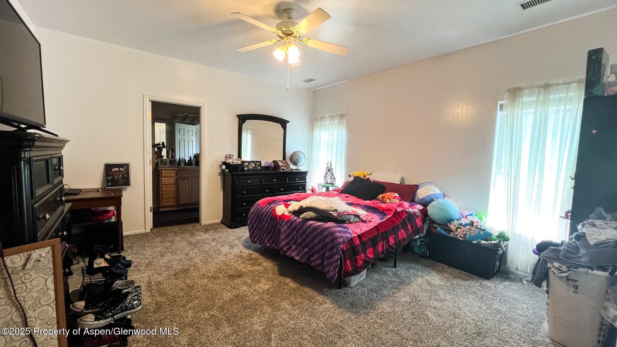786 Comstock Drive, Fruita, CO 81521 - Photo 20