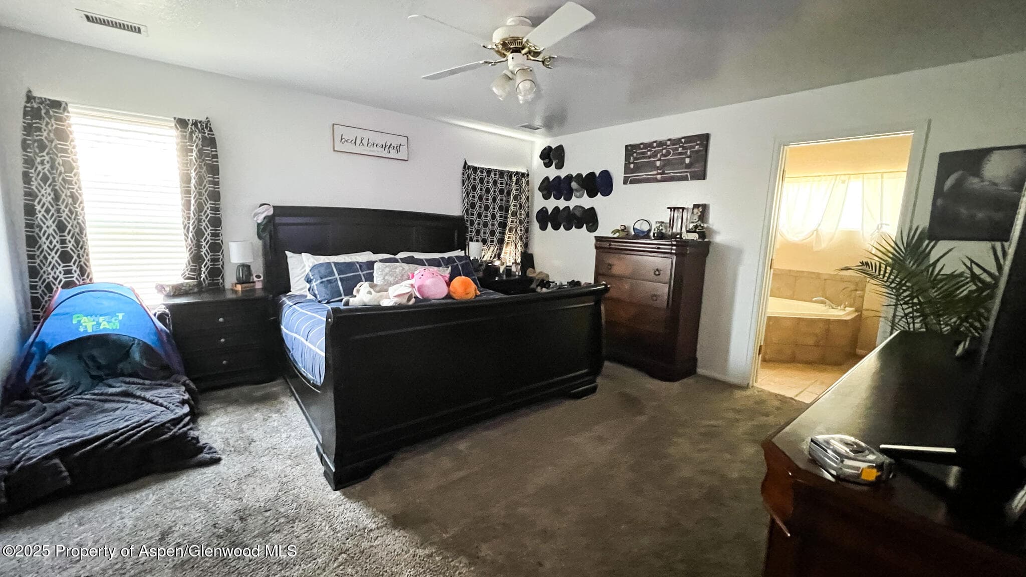 786 Comstock Drive, Fruita, CO 81521 - Photo 14