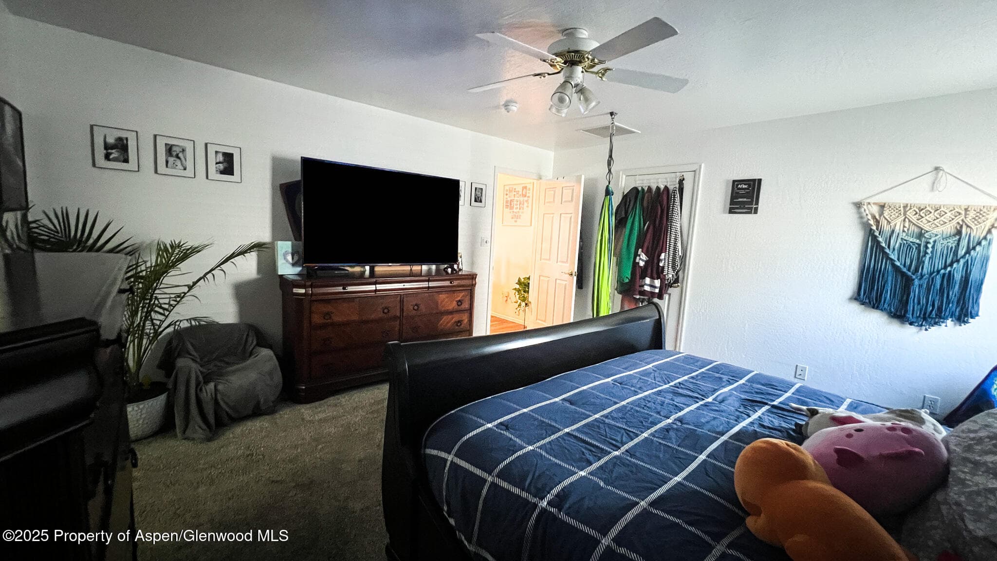 786 Comstock Drive, Fruita, CO 81521 - Photo 15