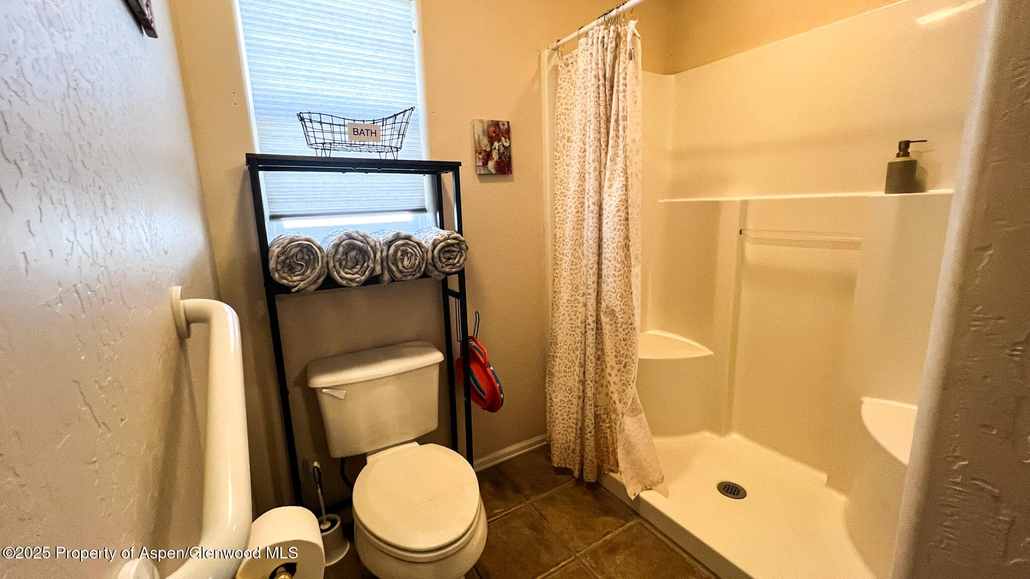 786 Comstock Drive, Fruita, CO 81521 - Photo 16
