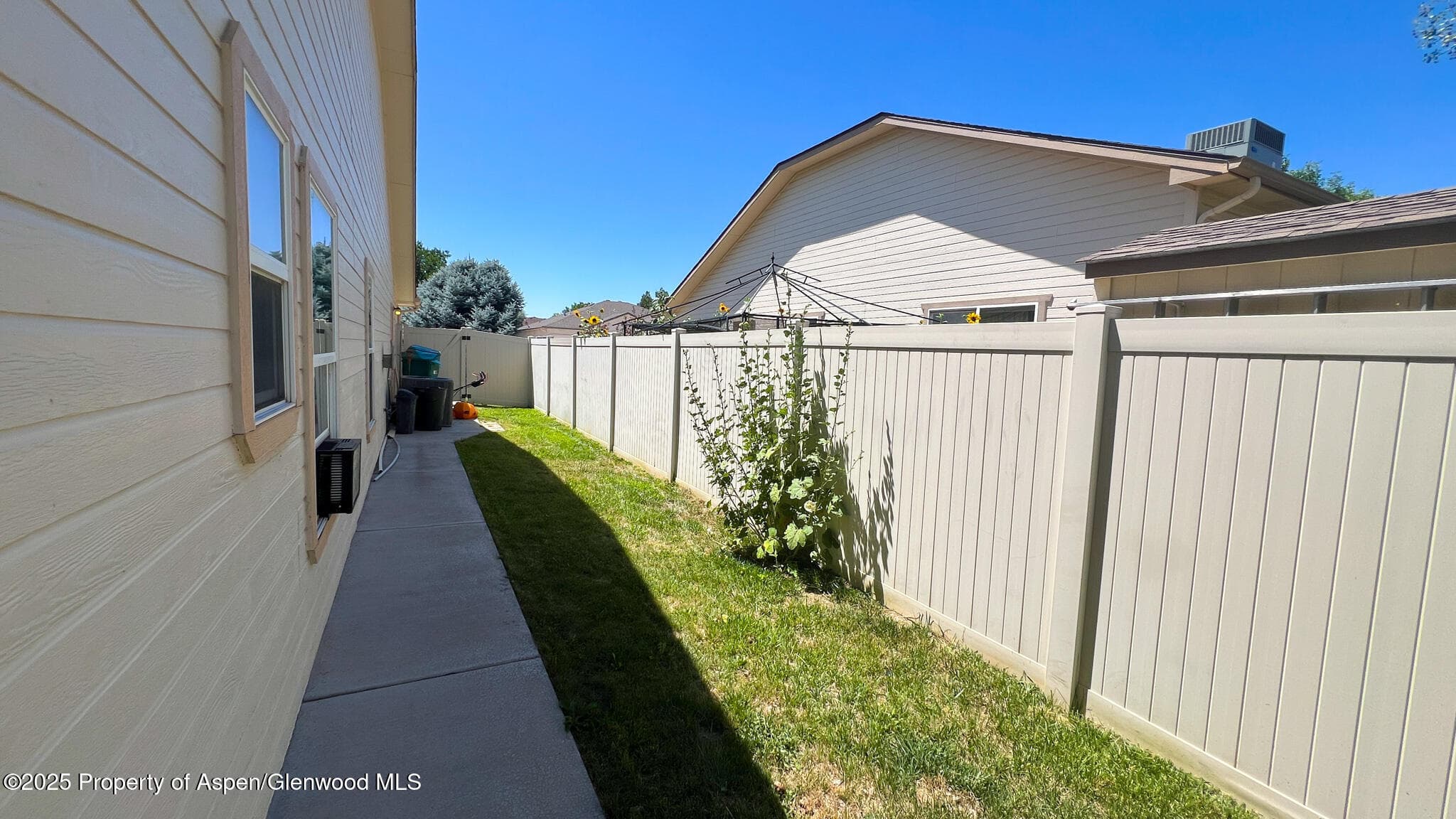 786 Comstock Drive, Fruita, CO 81521 - Photo 33