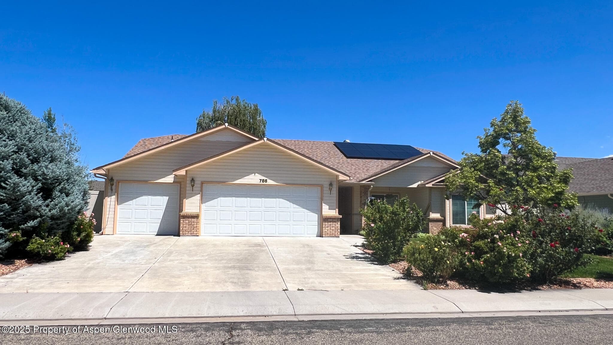 786 Comstock Drive, Fruita, CO 81521 - Photo 36