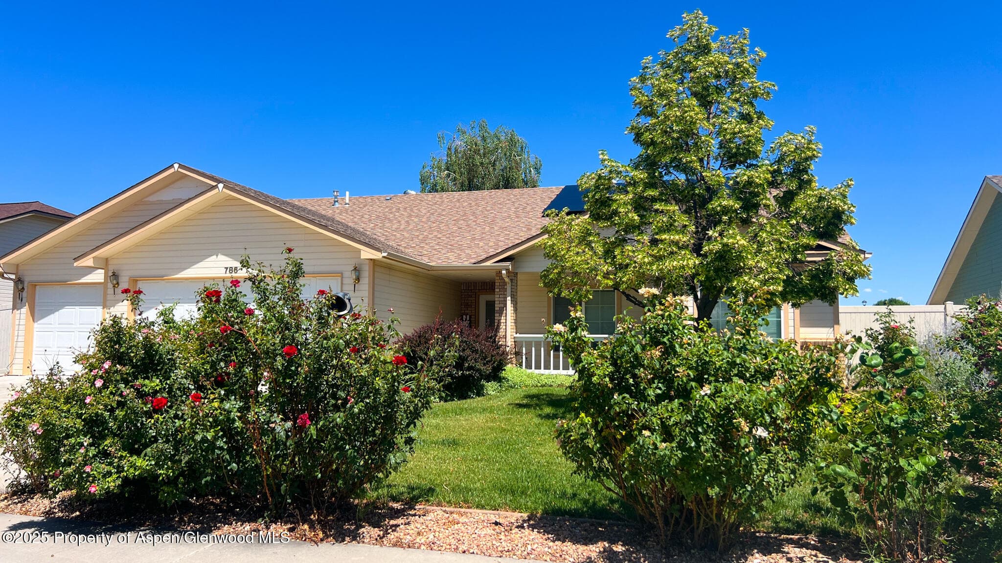 786 Comstock Drive, Fruita, CO 81521 - Photo 1