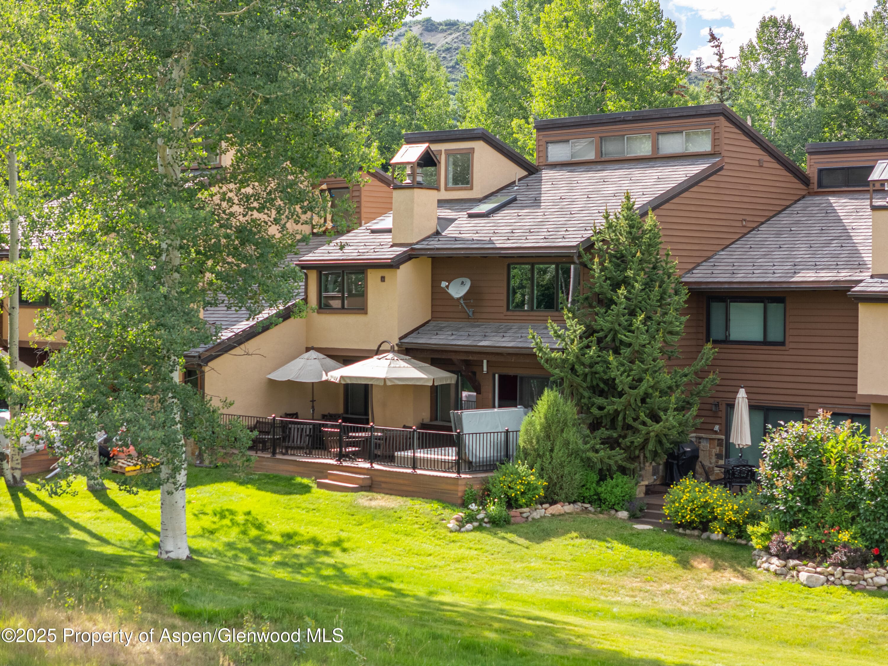 52 Harleston Green 38, Snowmass Village, CO 81615 - Photo 10
