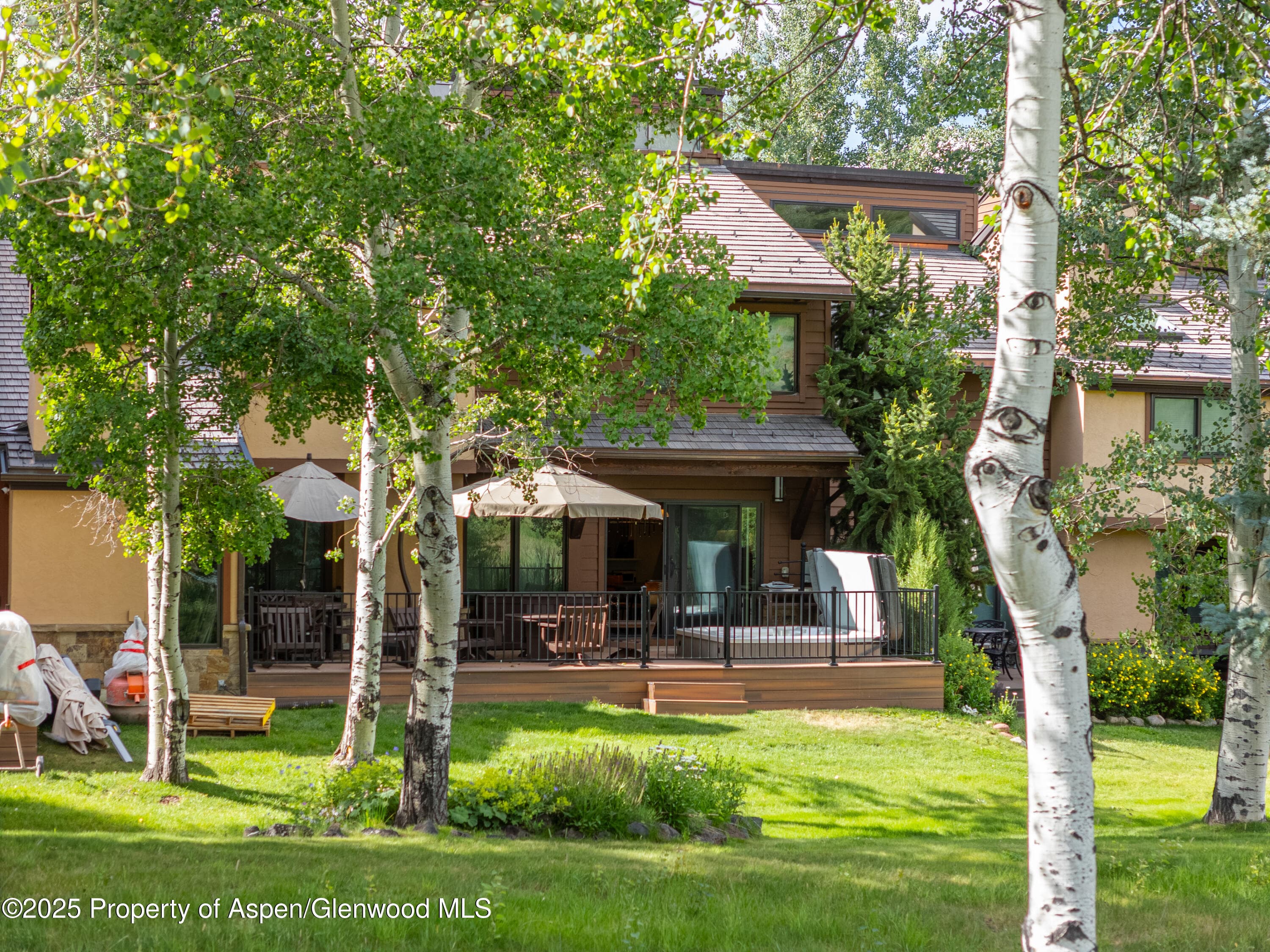52 Harleston Green 38, Snowmass Village, CO 81615 - Photo 20