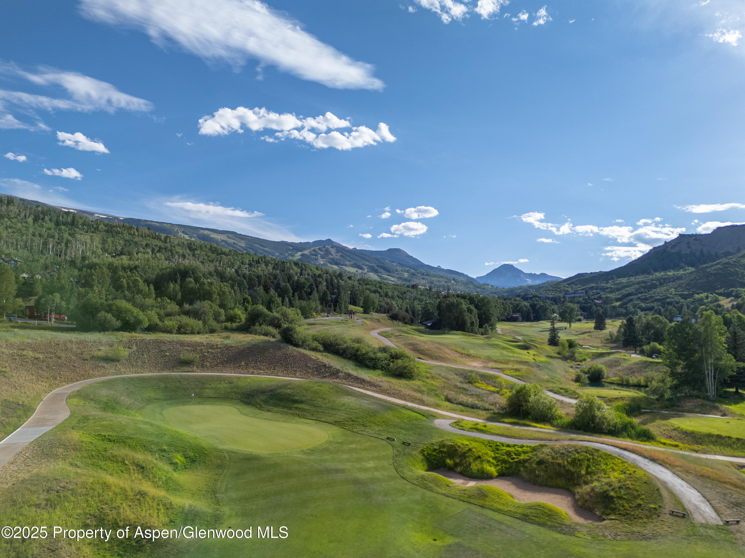 52 Harleston Green 38, Snowmass Village, CO 81615 - Photo 39