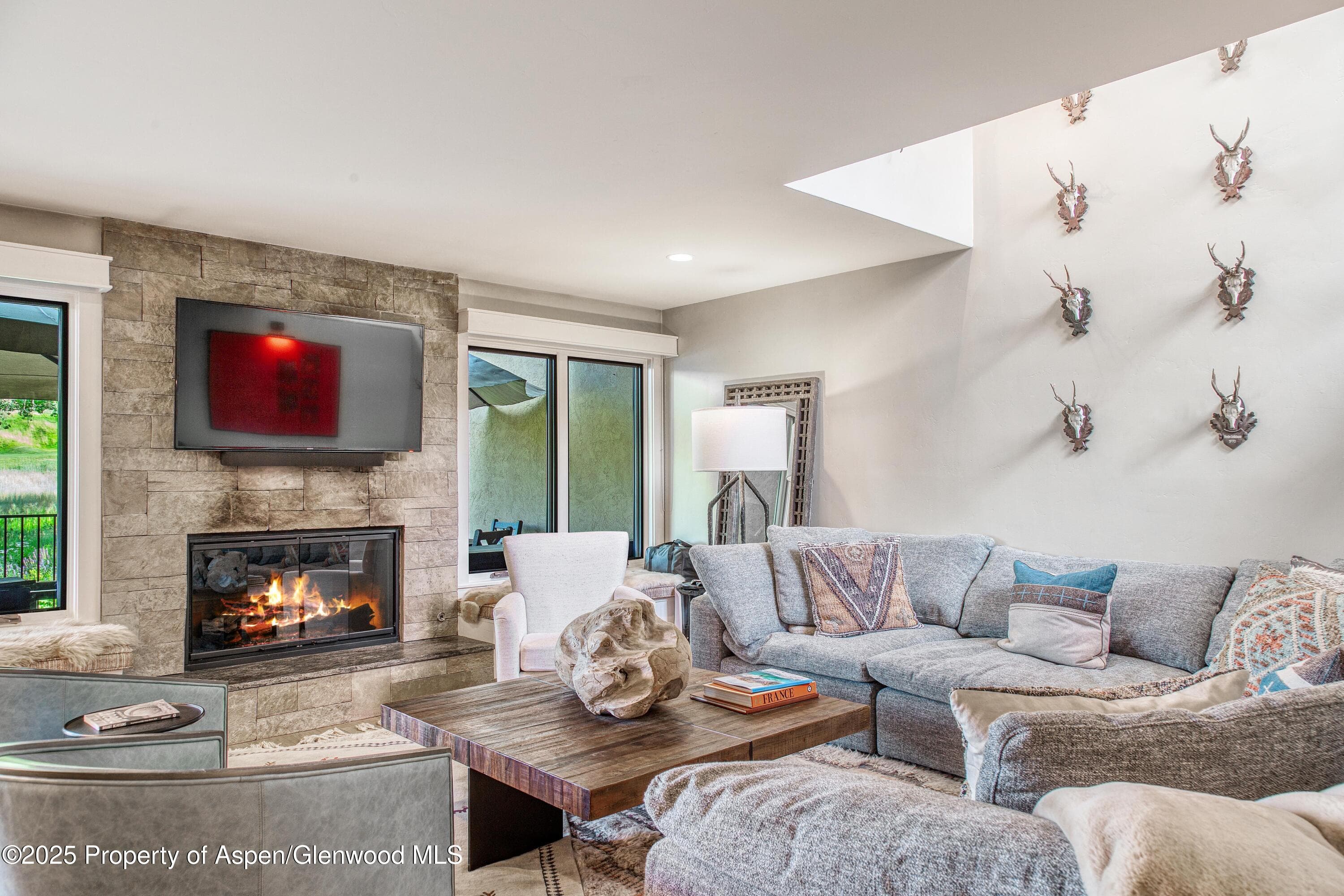 52 Harleston Green 38, Snowmass Village, CO 81615 - Photo 11