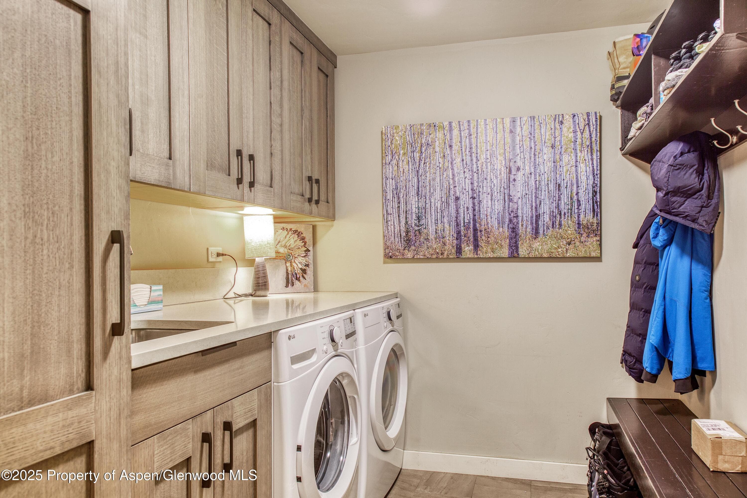 52 Harleston Green 38, Snowmass Village, CO 81615 - Photo 37
