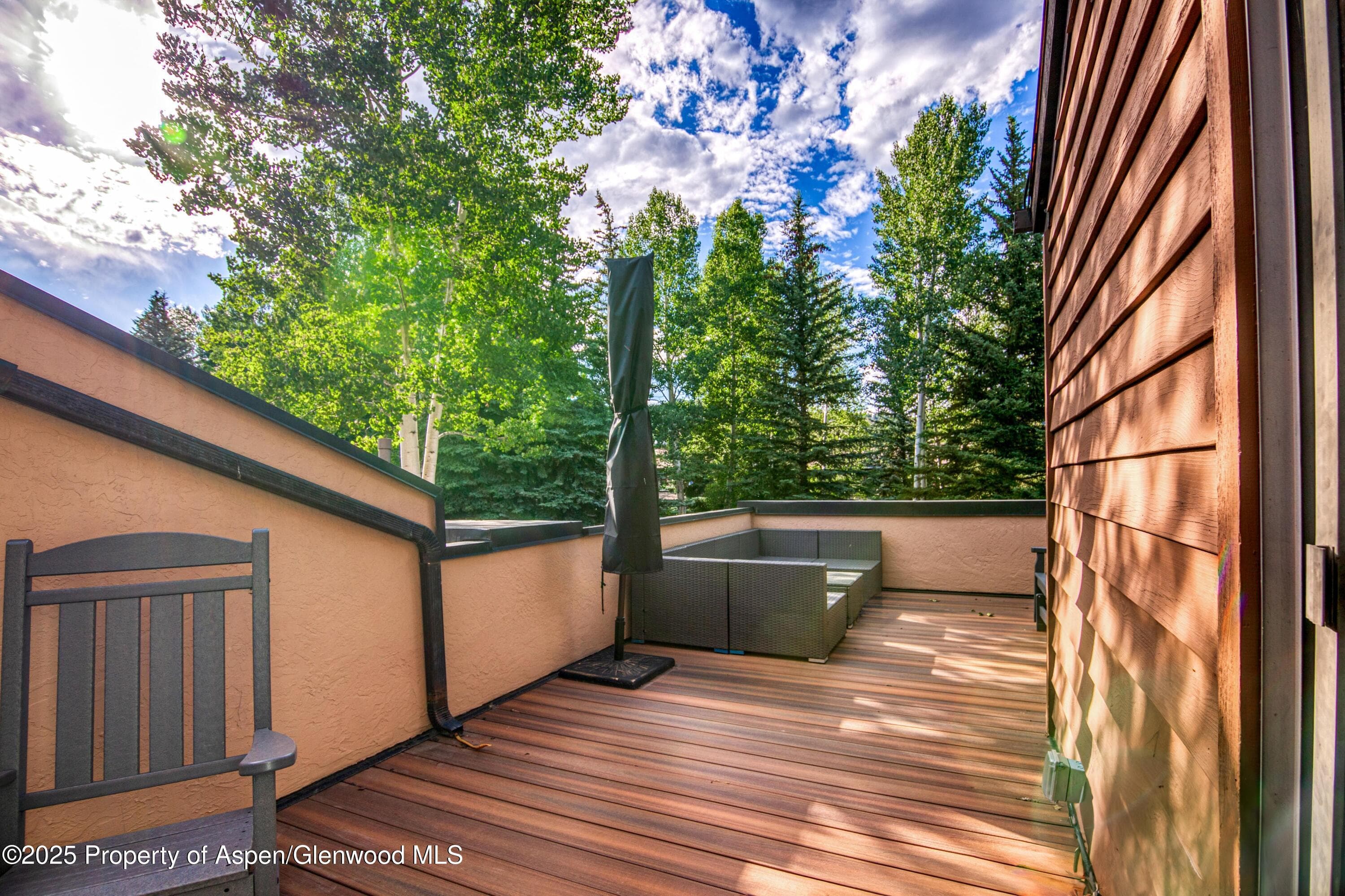 52 Harleston Green 38, Snowmass Village, CO 81615 - Photo 38
