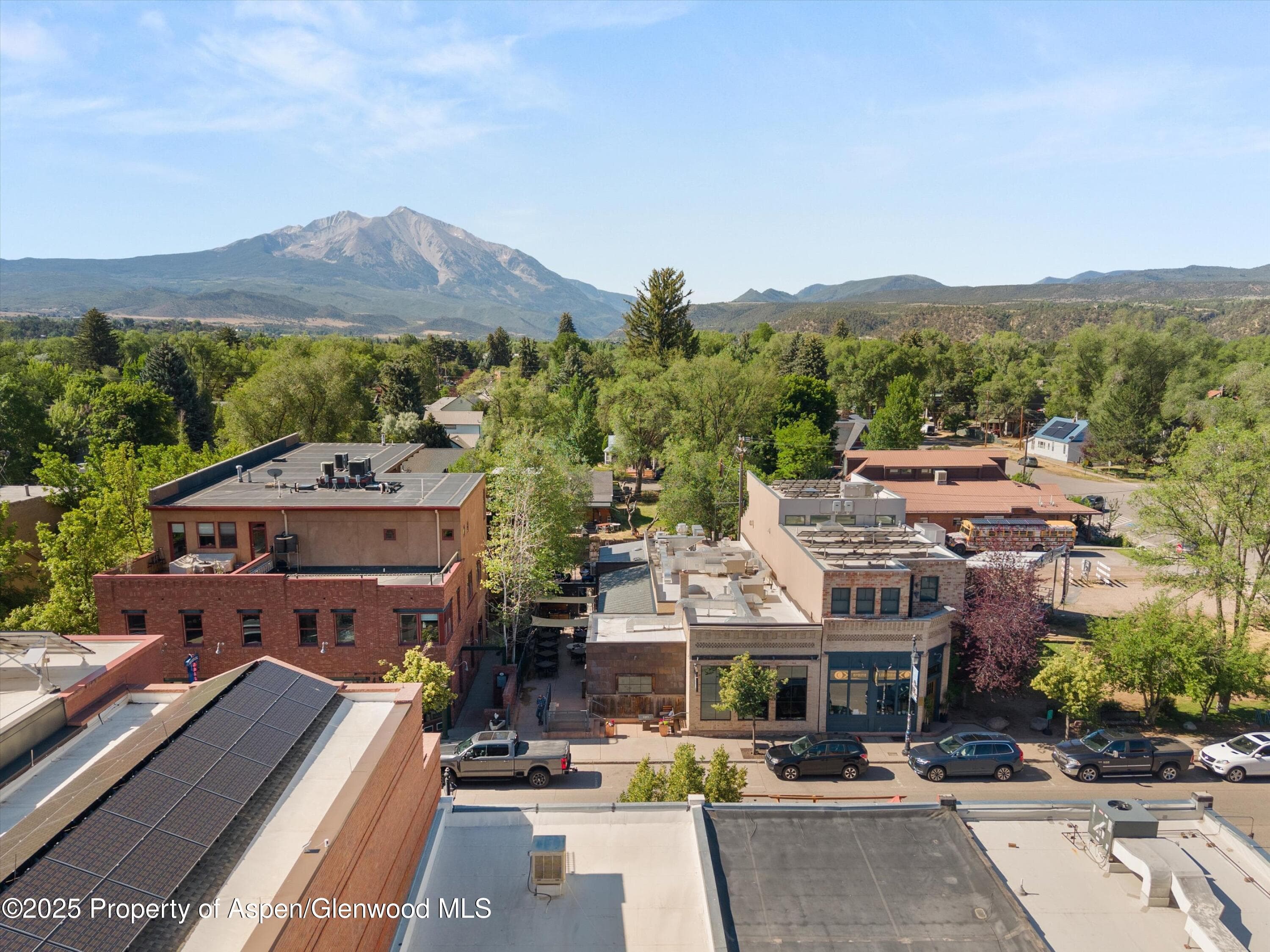 335 Main Street Street, Carbondale, CO 81623 - Photo 15
