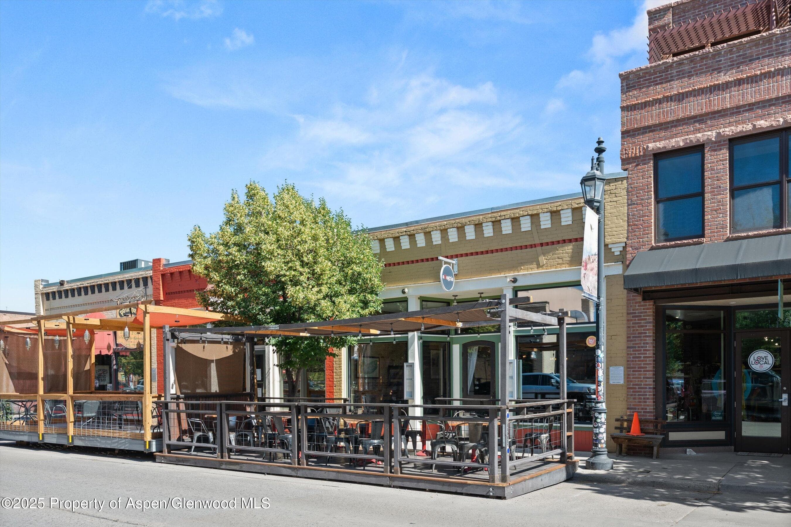 335 Main Street Street, Carbondale, CO 81623 - Photo 18