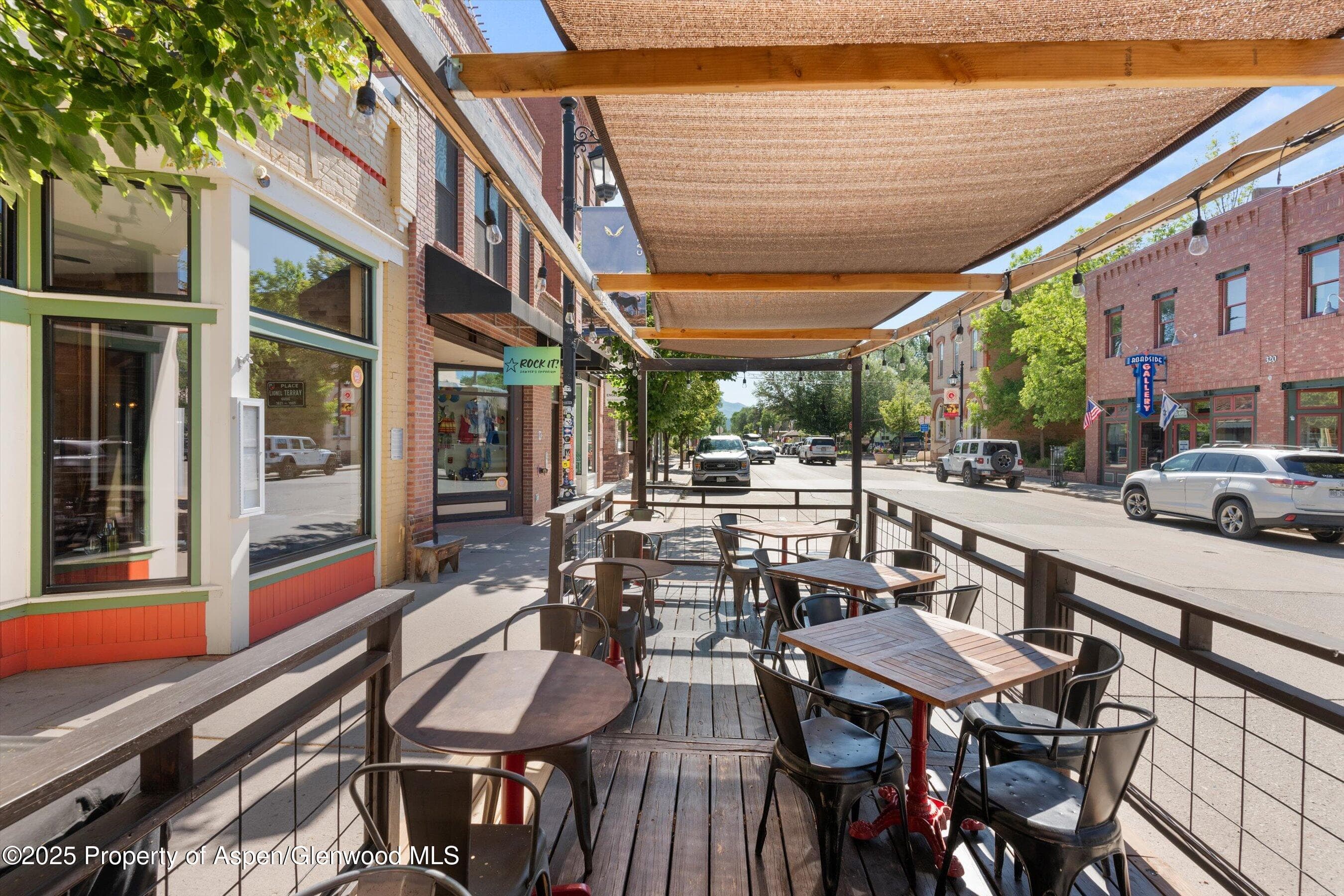 335 Main Street Street, Carbondale, CO 81623 - Photo 26