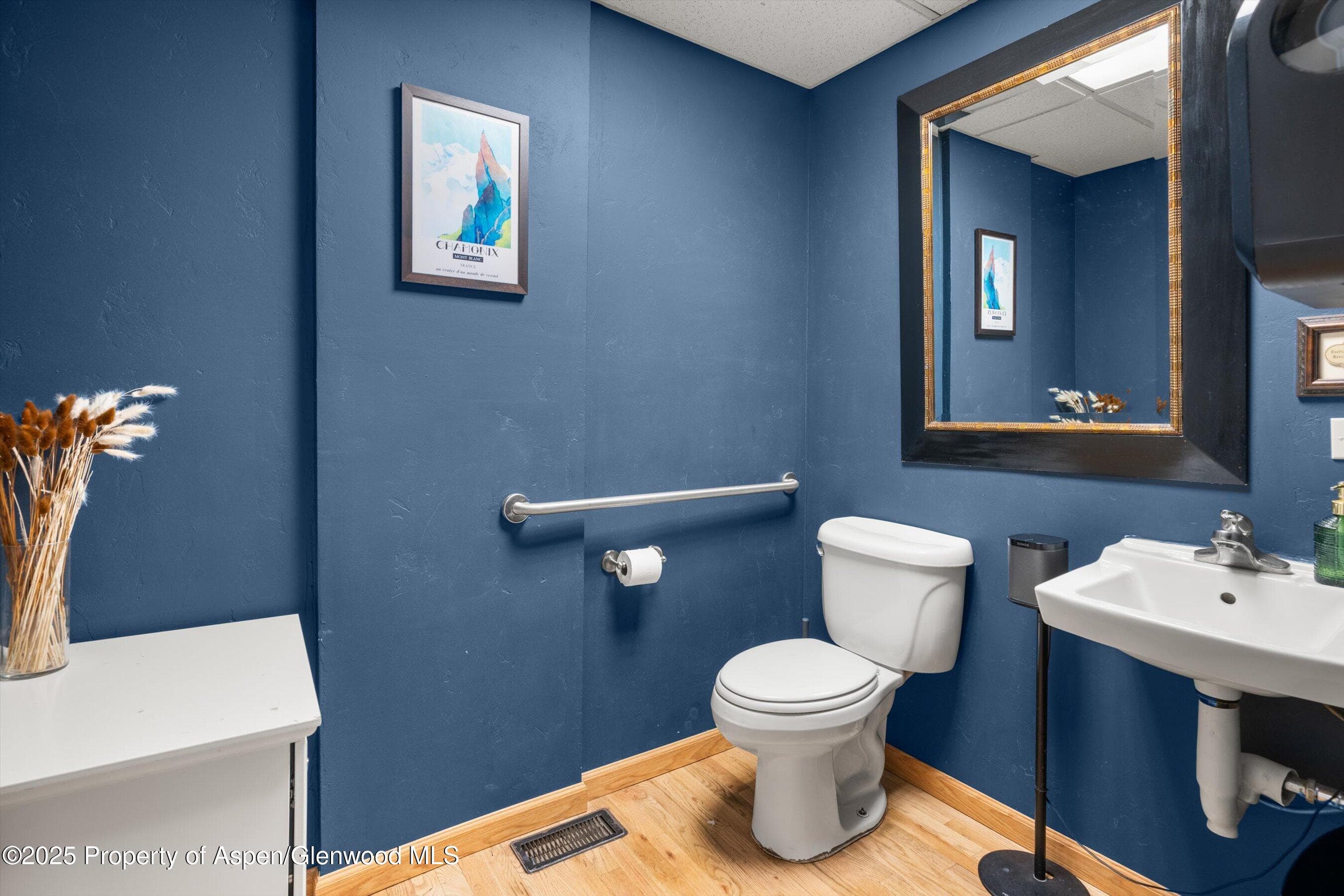 335 Main Street Street, Carbondale, CO 81623 - Photo 40