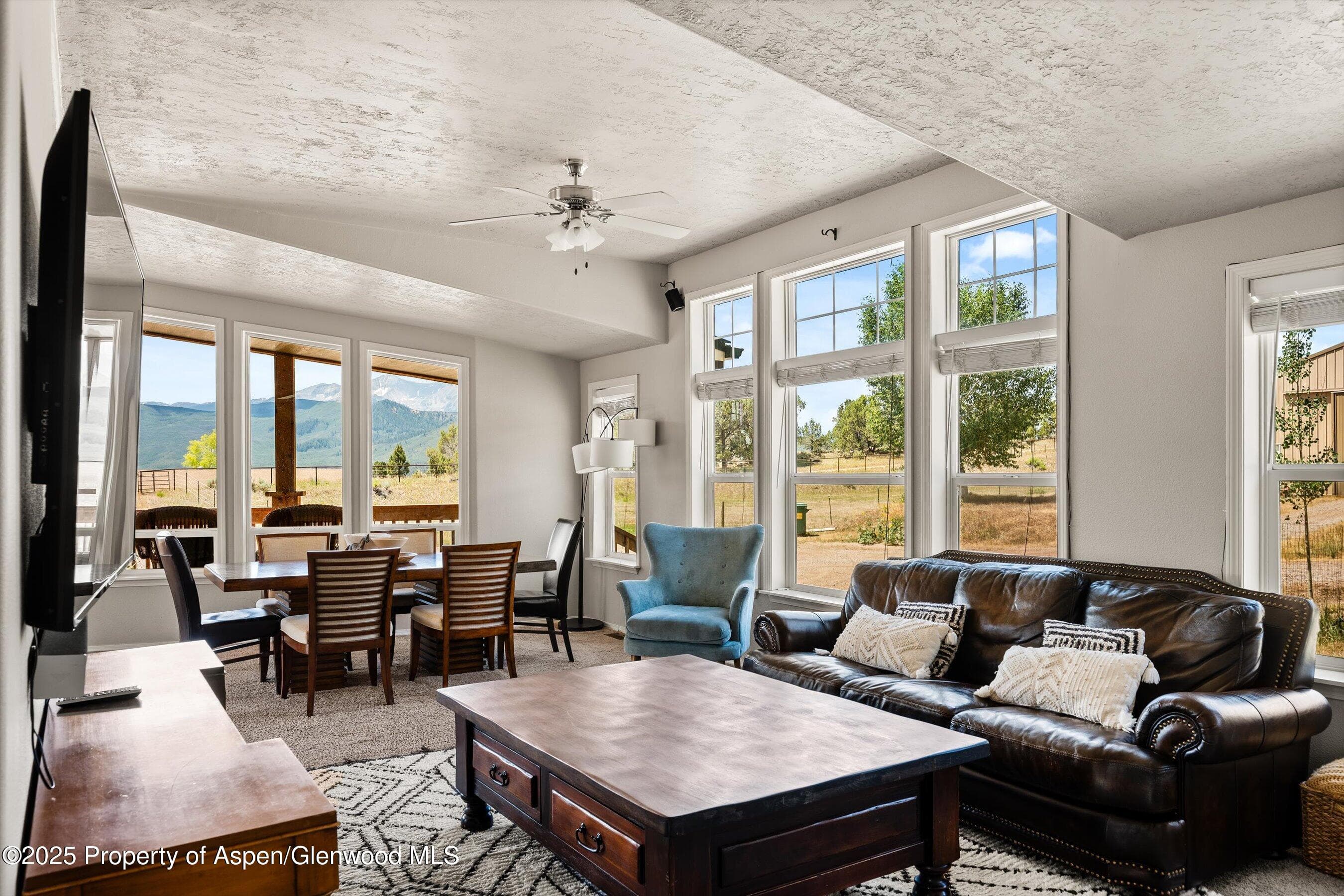 14 Fender Lane, Carbondale, CO 81623 - Photo 28