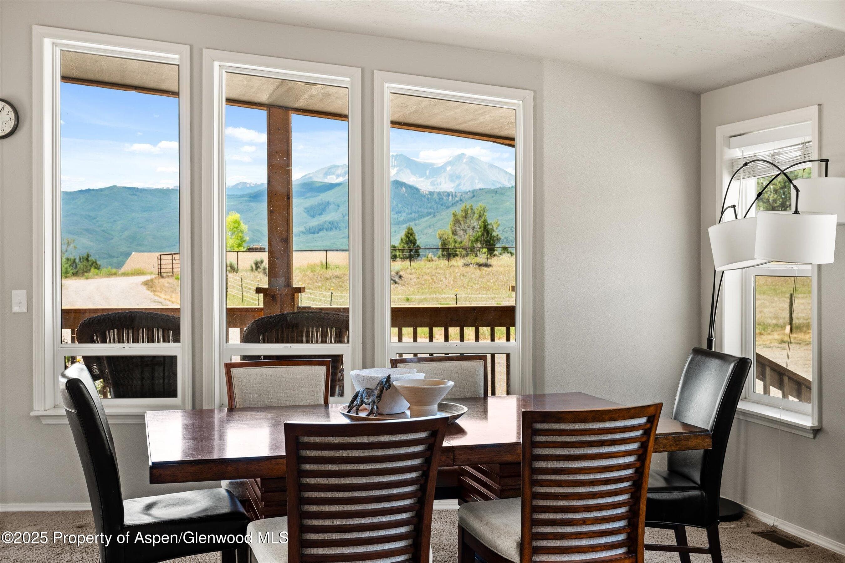 14 Fender Lane, Carbondale, CO 81623 - Photo 29